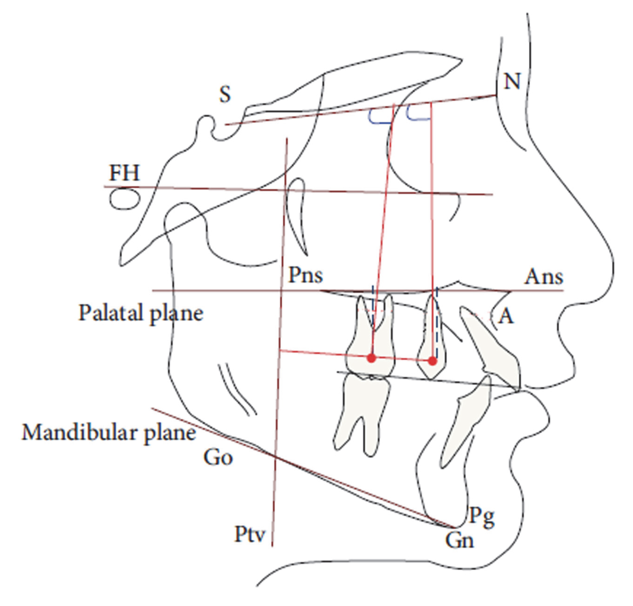 Dentistry 10 00179 g005