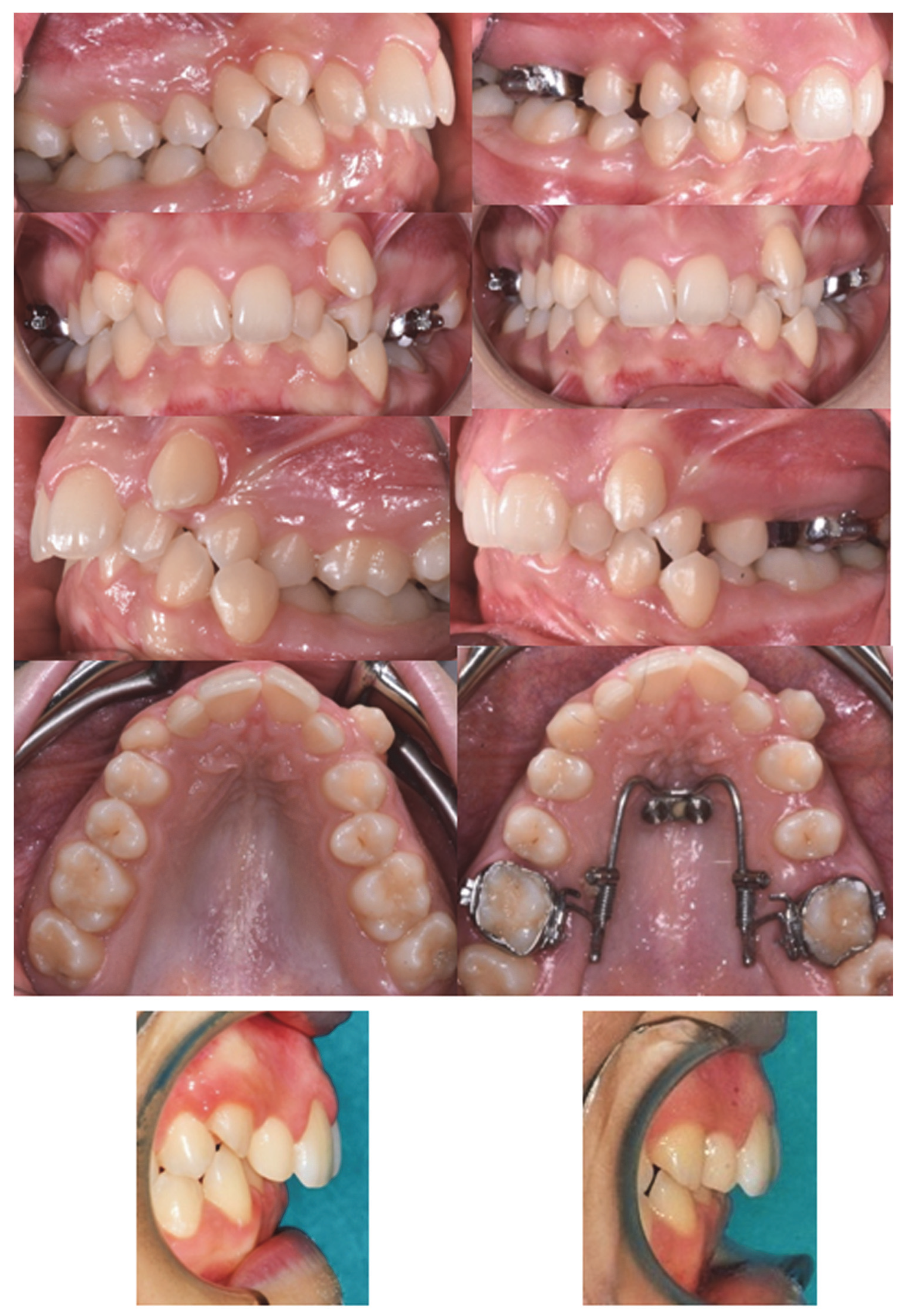 Dentistry 10 00179 g006
