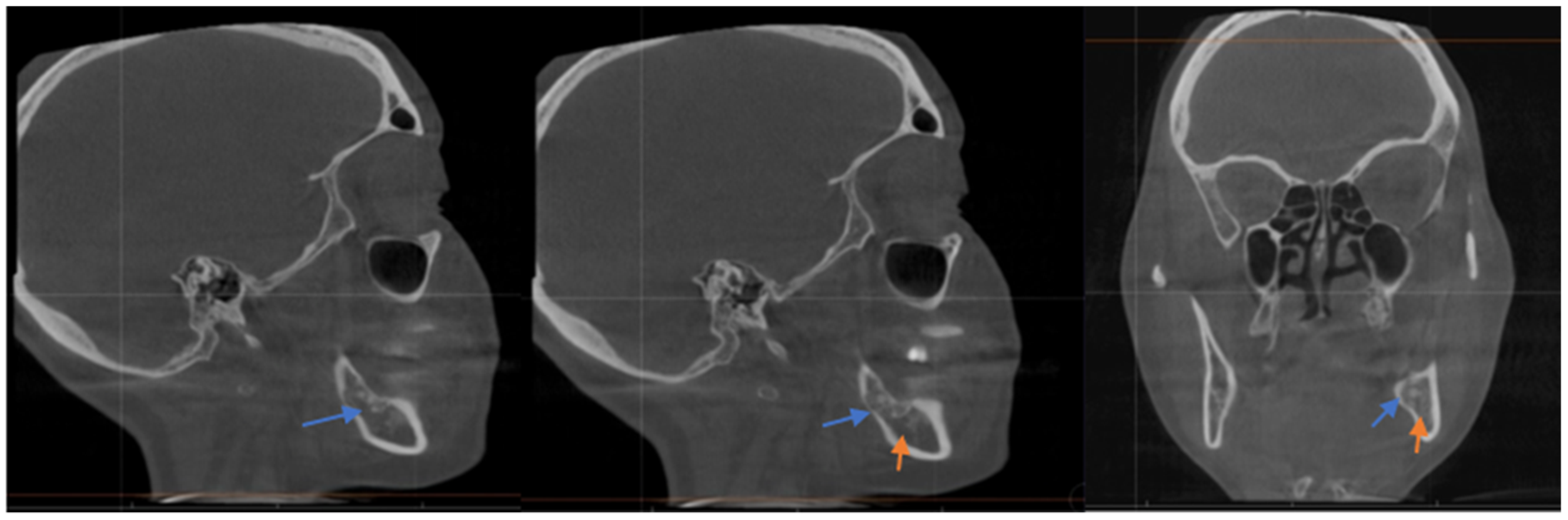 Dentistry 10 00207 g002