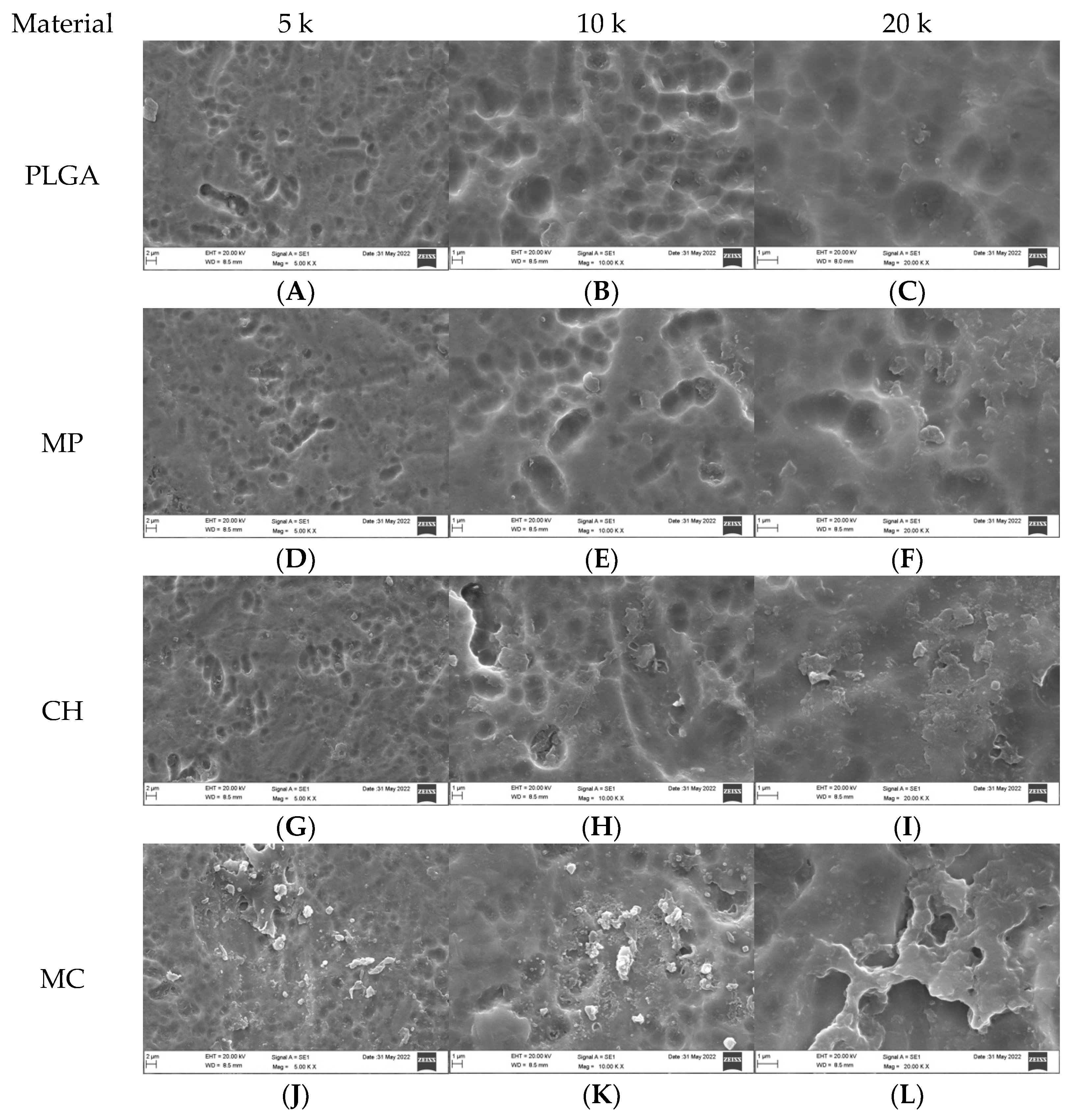 Dentistry 10 00220 g001a Dentistry 10 00220 g001a