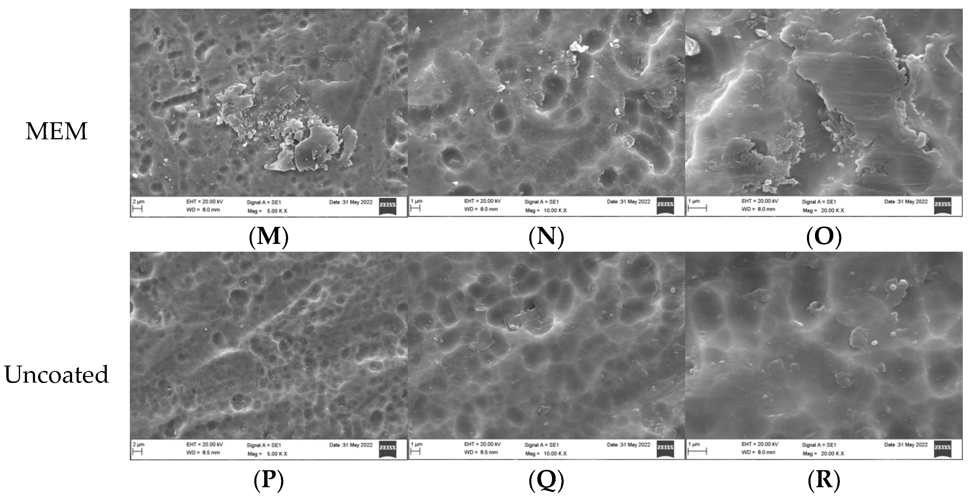 Dentistry 10 00220 g001b Dentistry 10 00220 g001b