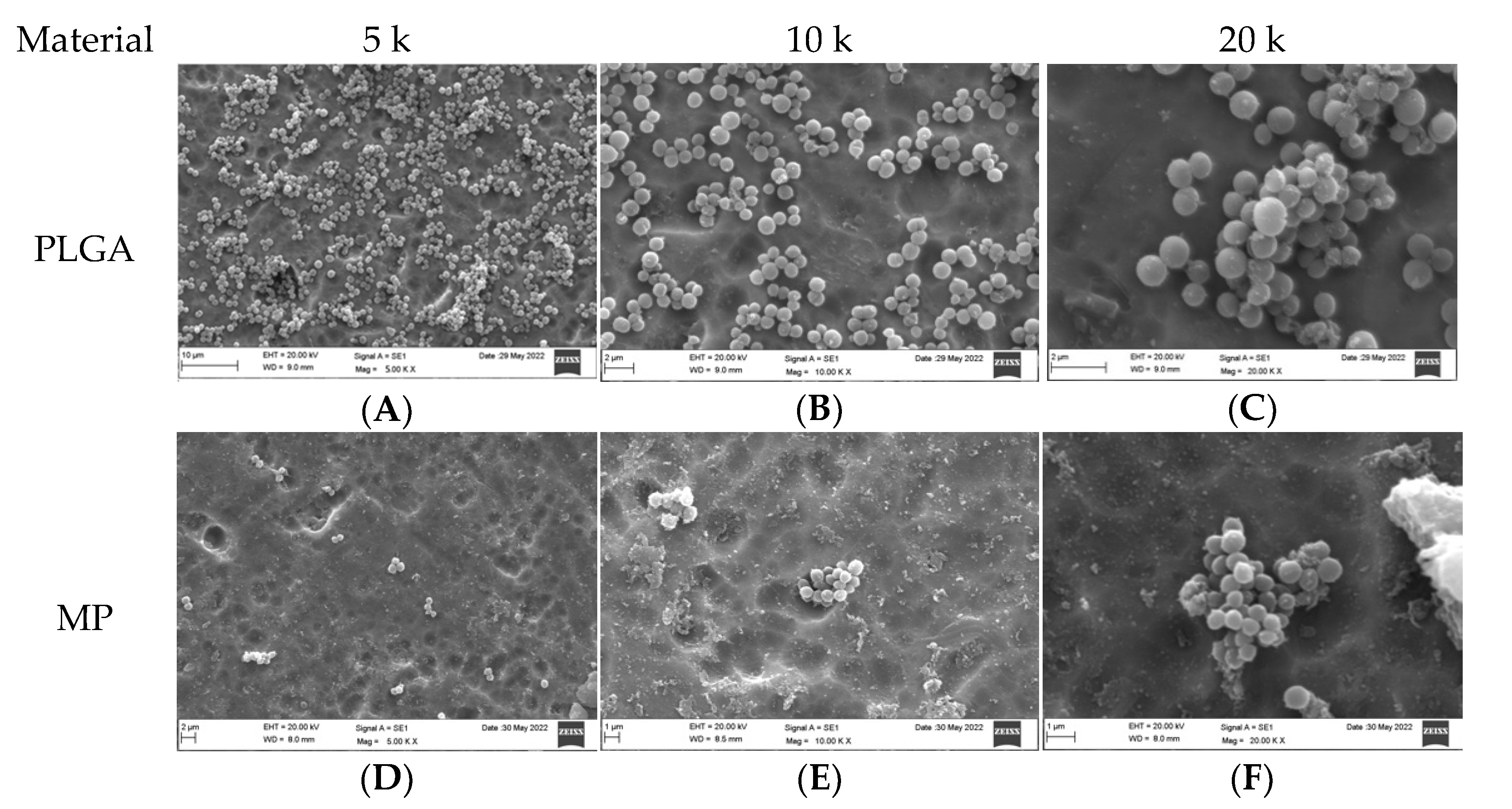Dentistry 10 00220 g002a Dentistry 10 00220 g002a