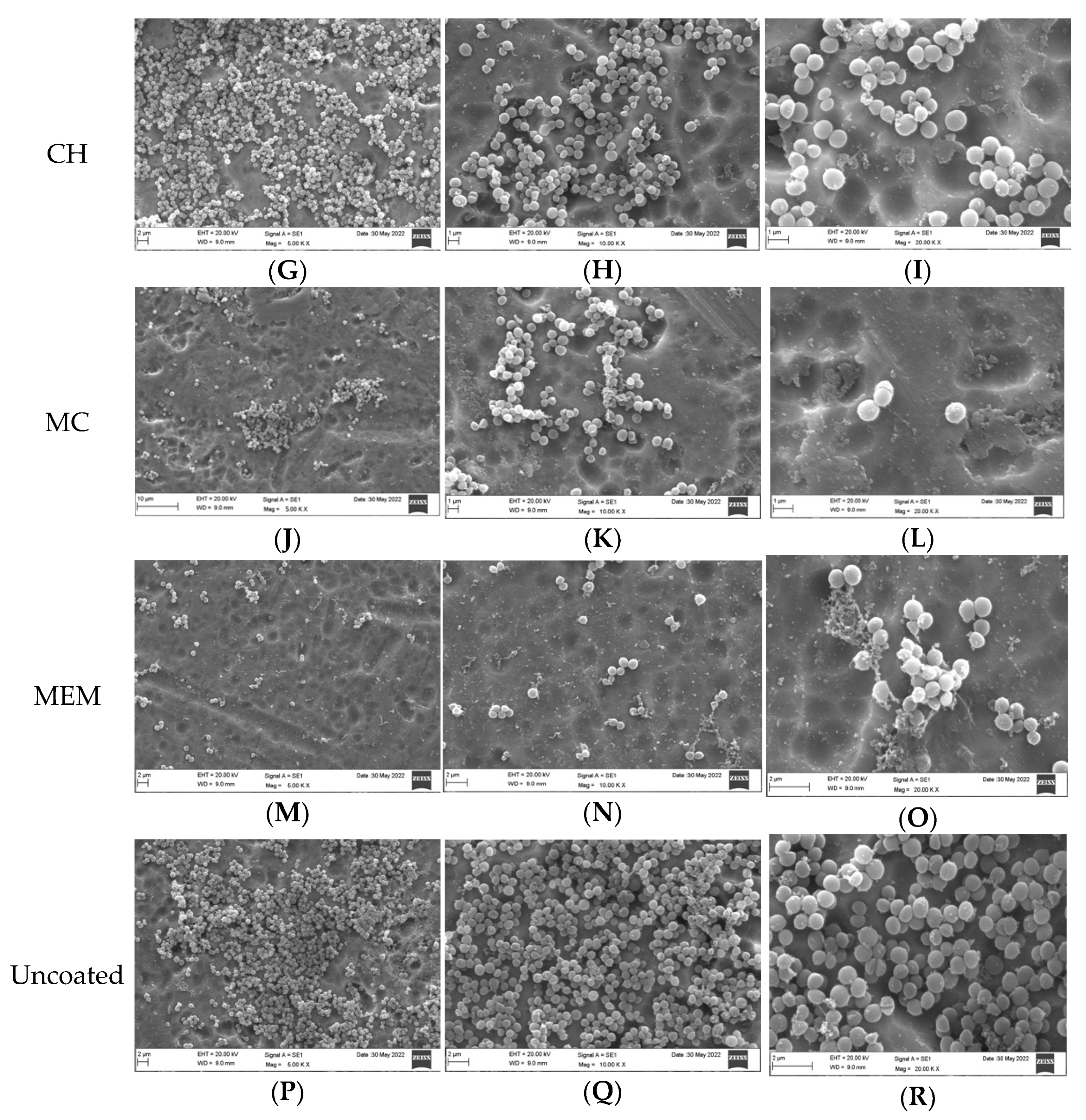 Dentistry 10 00220 g002b Dentistry 10 00220 g002b