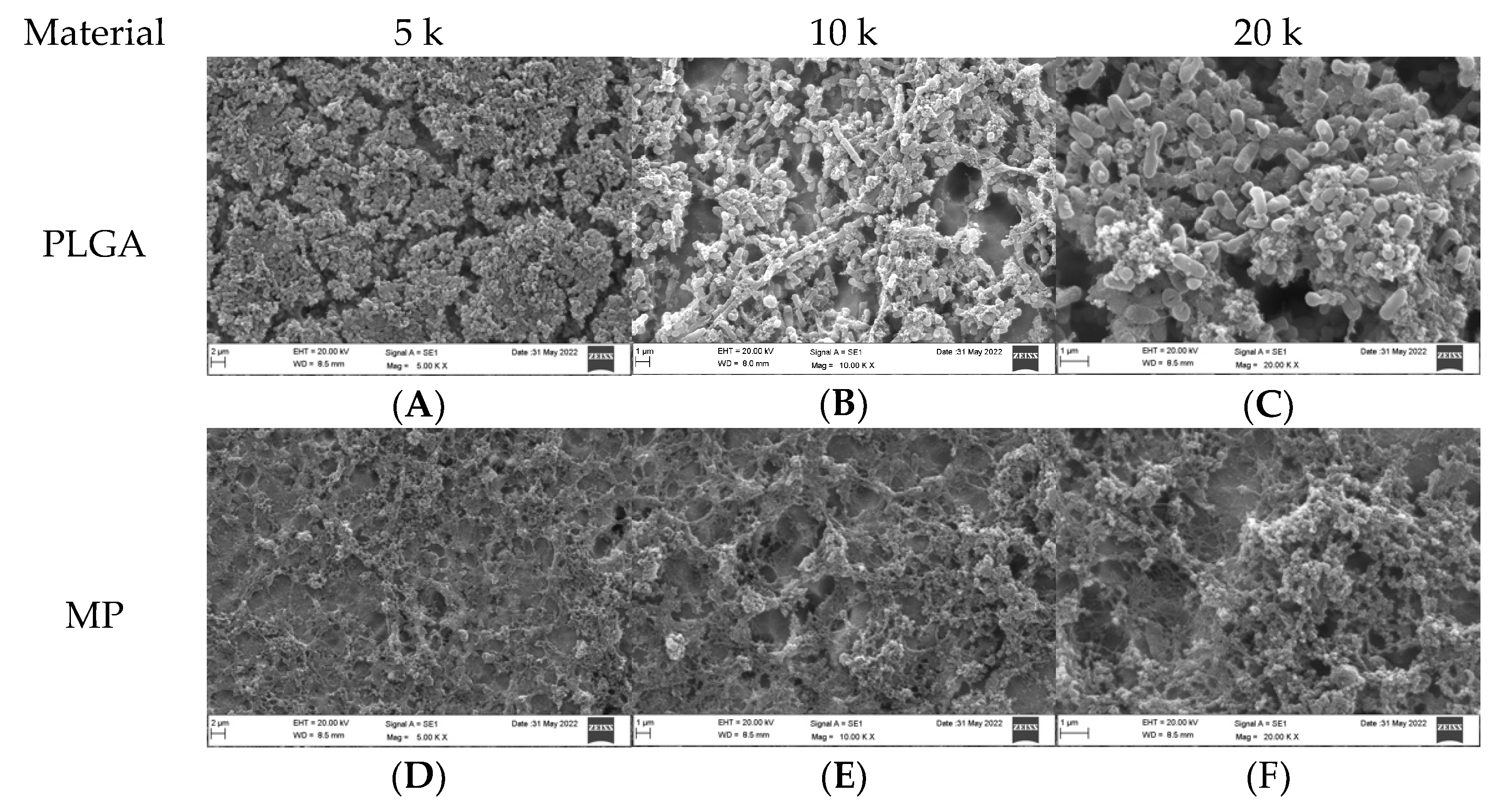 Dentistry 10 00220 g003a Dentistry 10 00220 g003a