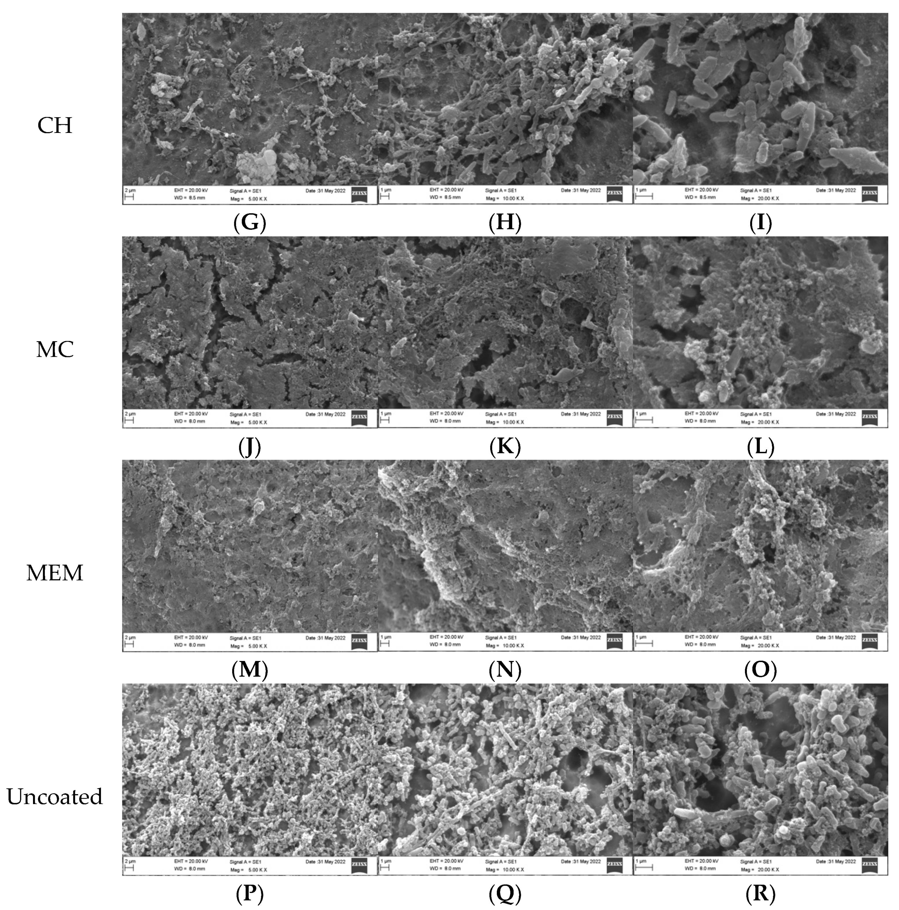 Dentistry 10 00220 g003b Dentistry 10 00220 g003b