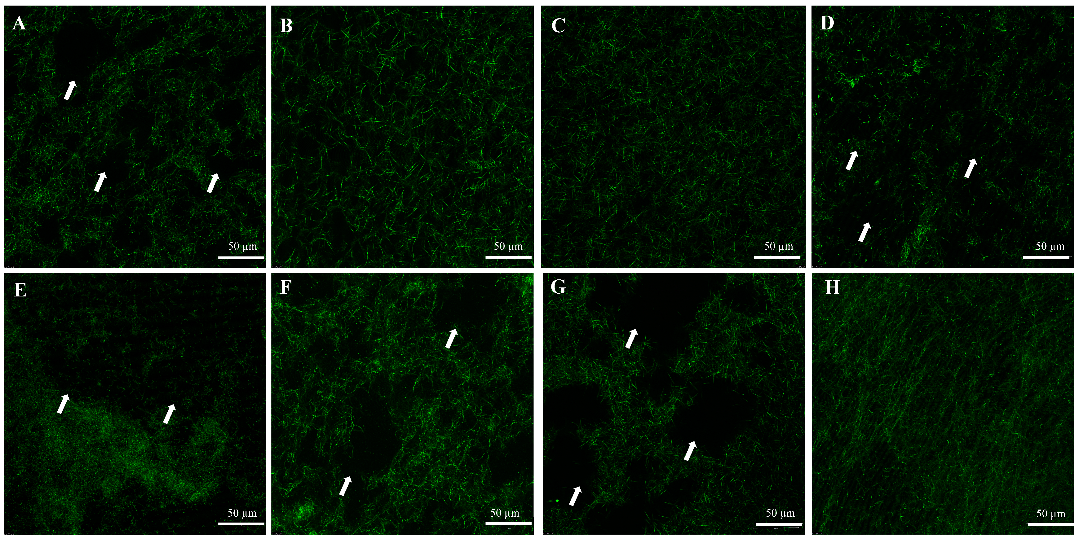 Dentistry 10 00223 g002 Dentistry 10 00223 g002