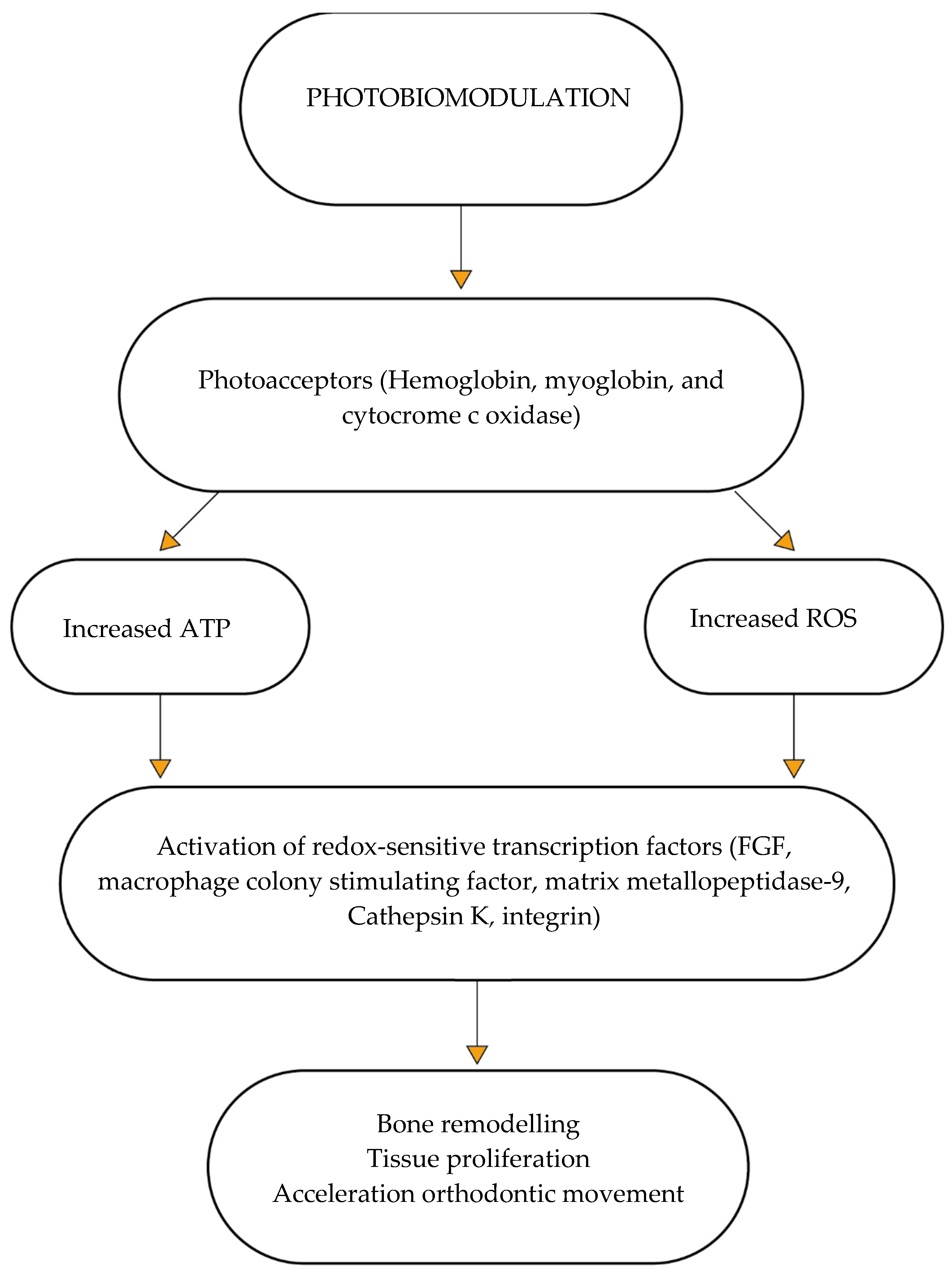 Dentistry 10 00229 g002 Dentistry 10 00229 g002