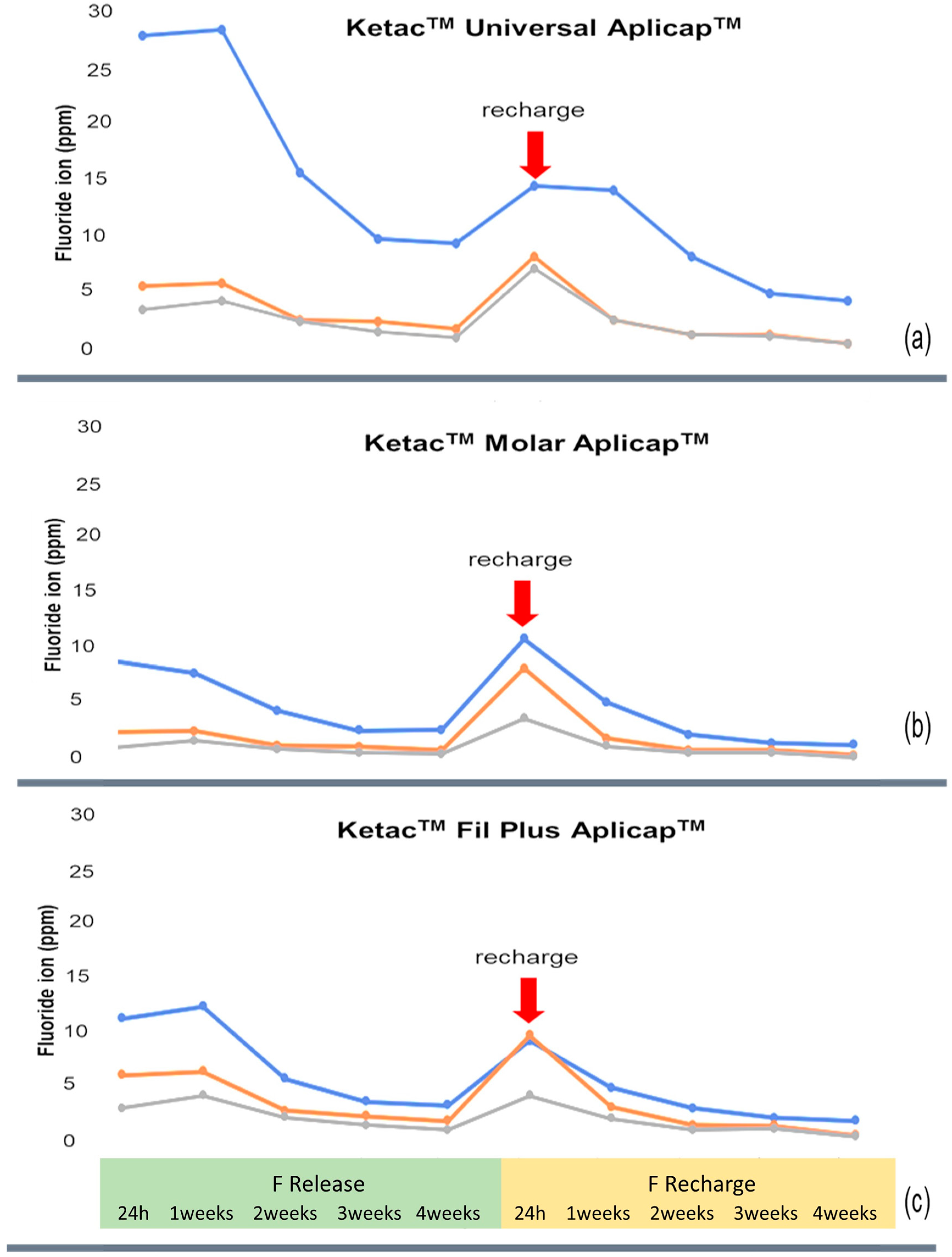 Dentistry 10 00233 g004