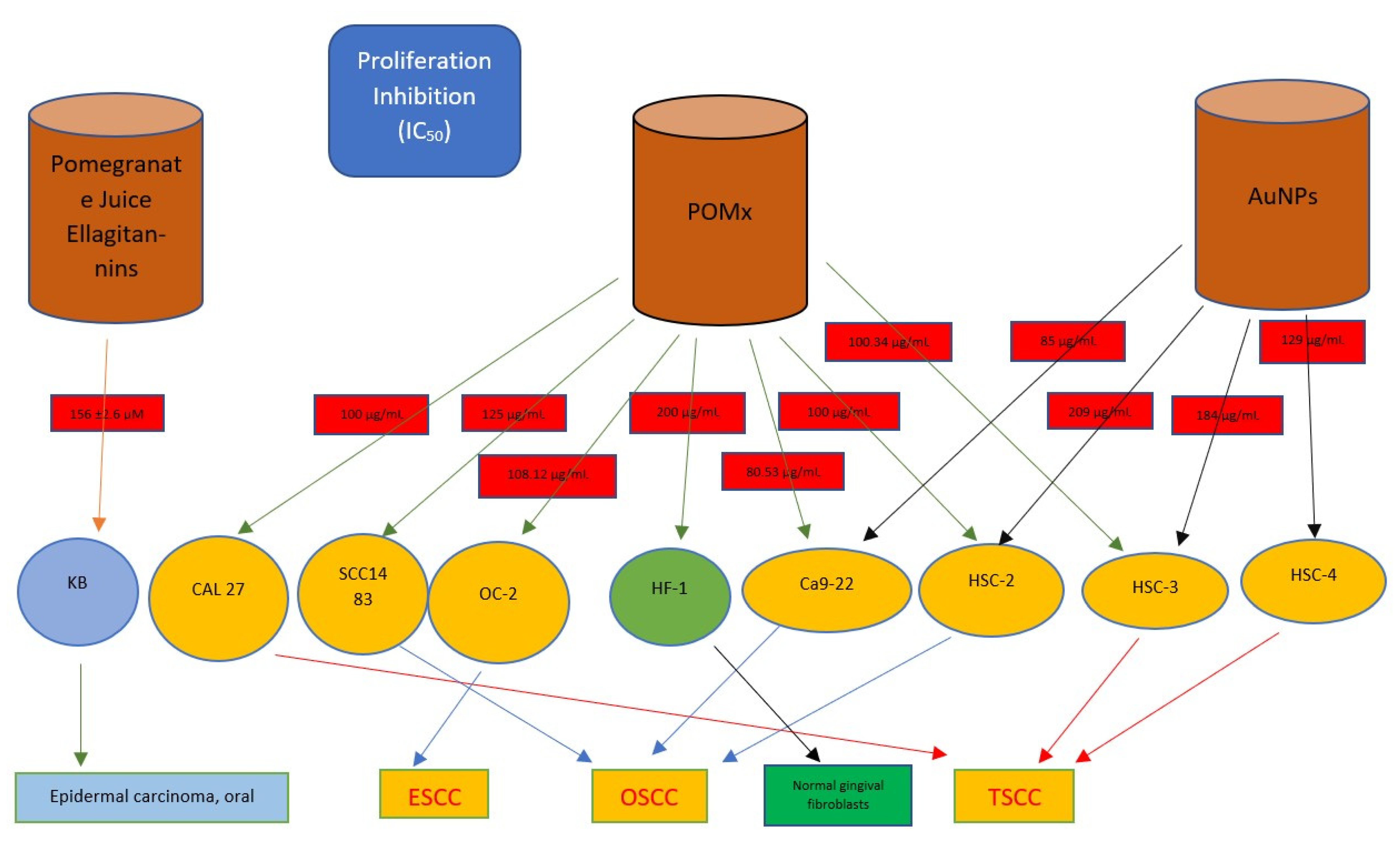 Dentistry 10 00234 g004 Dentistry 10 00234 g004