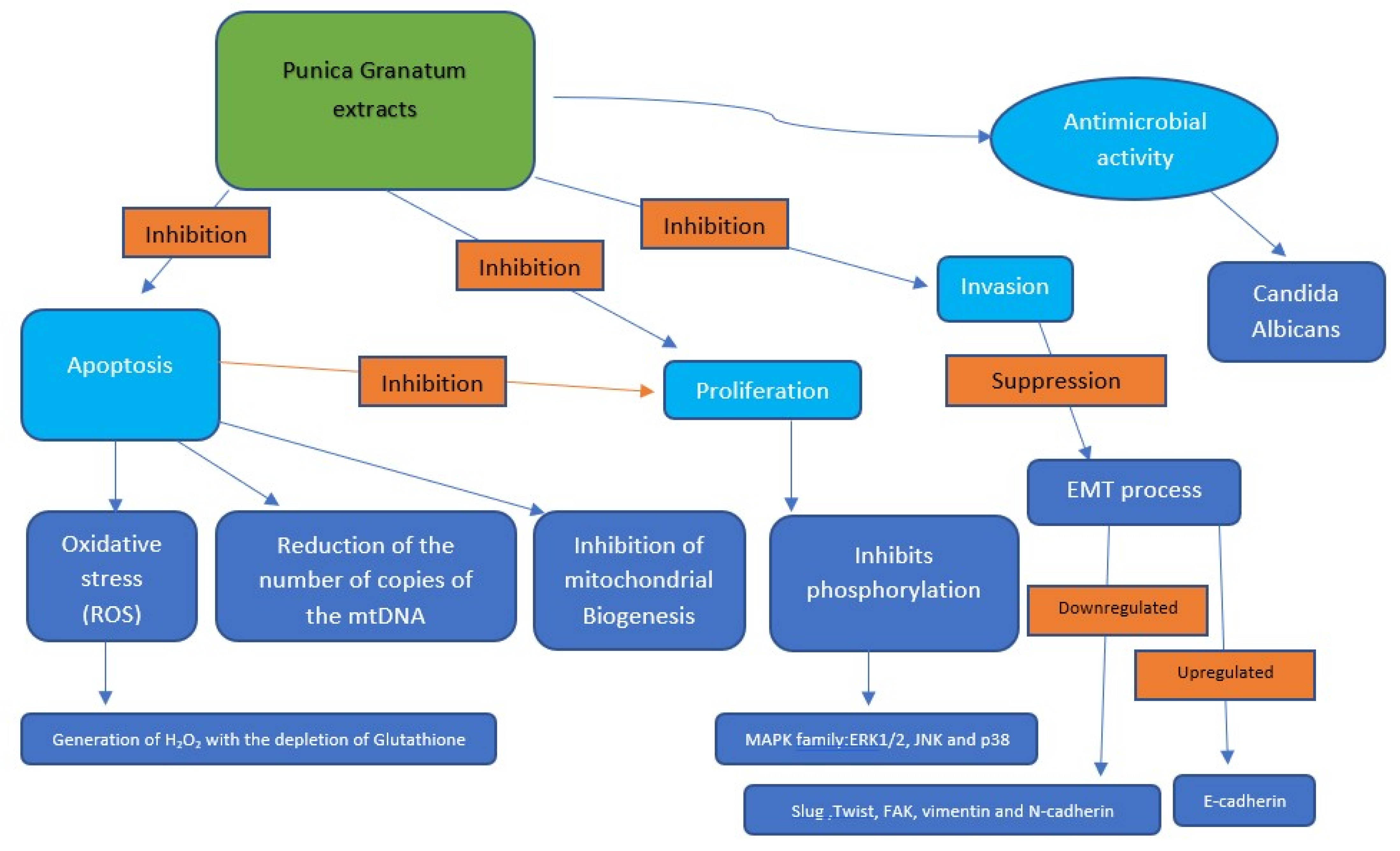 Dentistry 10 00234 g005 Dentistry 10 00234 g005