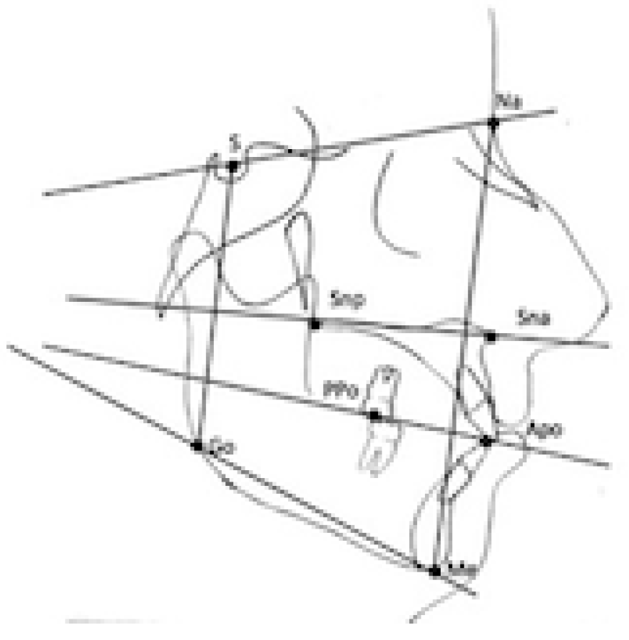 Dentistry 11 00008 g002 Dentistry 11 00008 g002