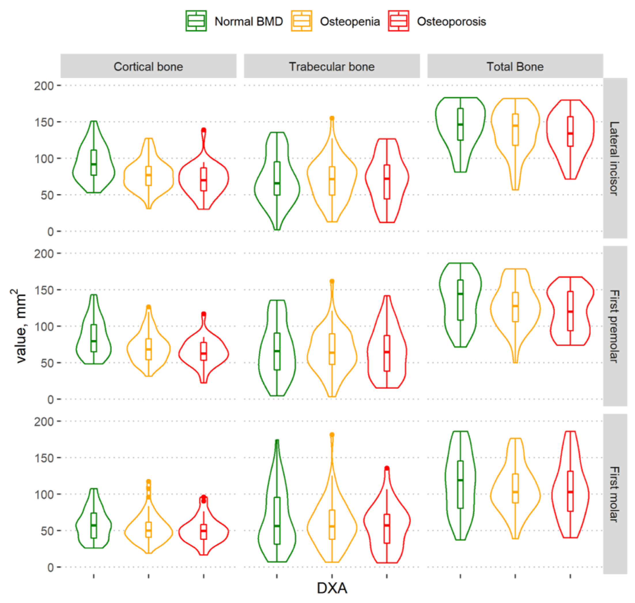 Dentistry 11 00017 g004 Dentistry 11 00017 g004