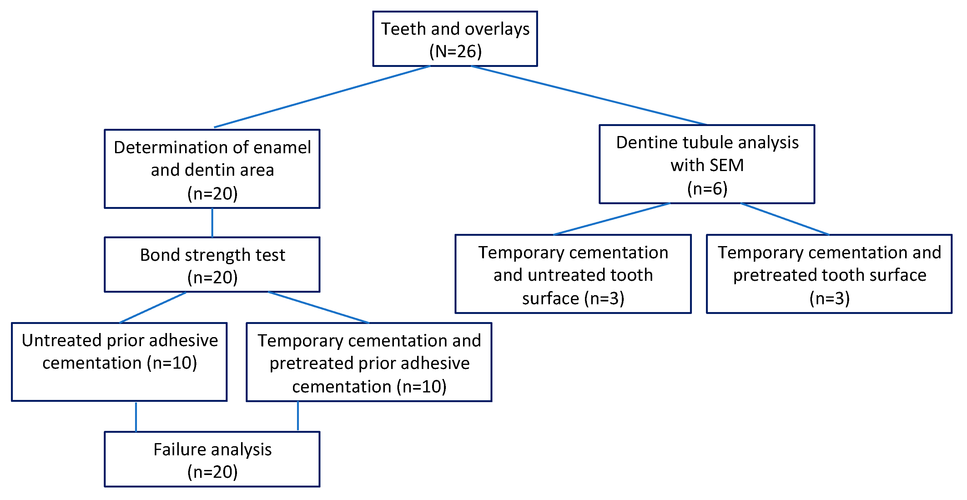Dentistry 11 00019 g001