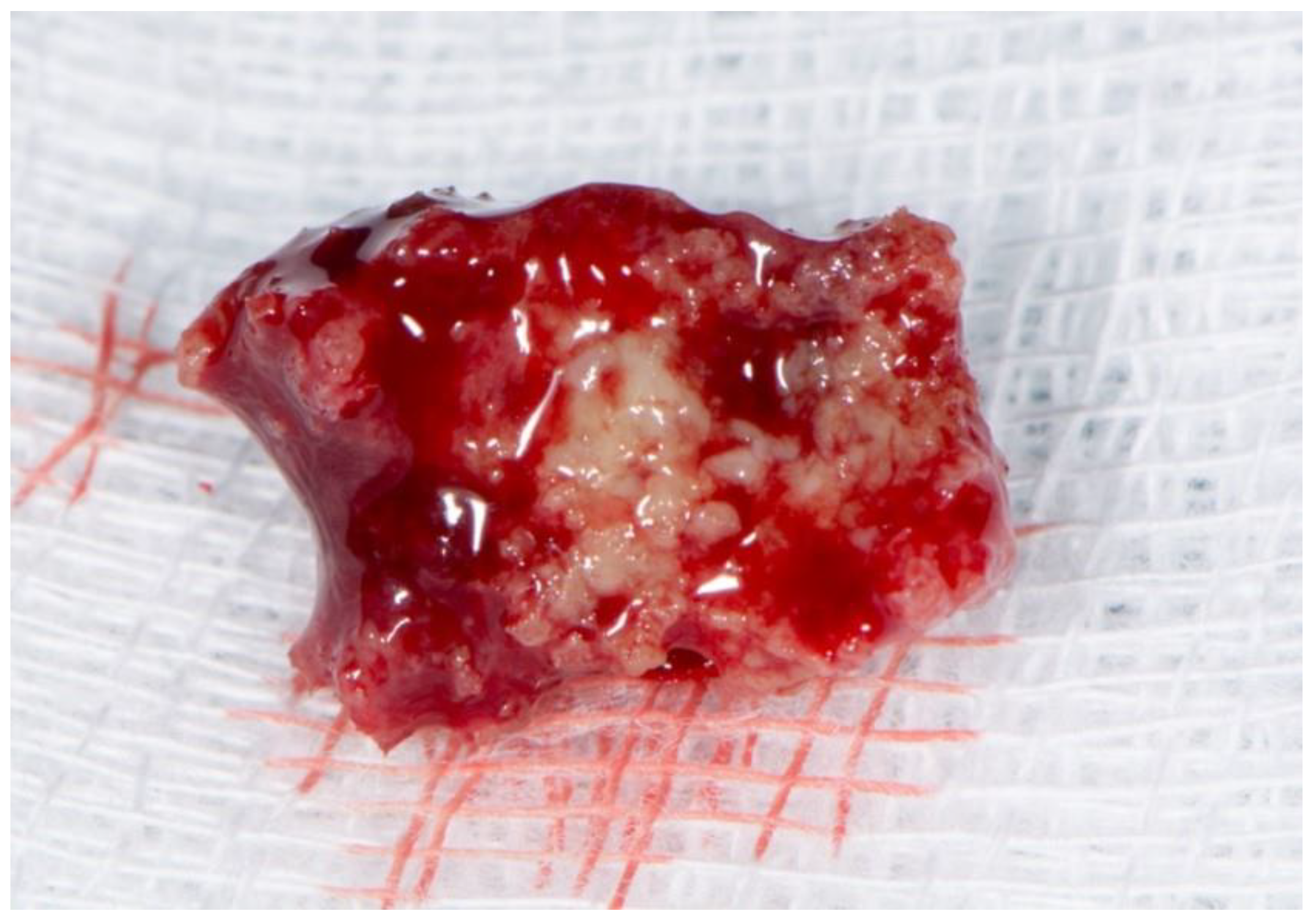 Dentistry 11 00023 g003