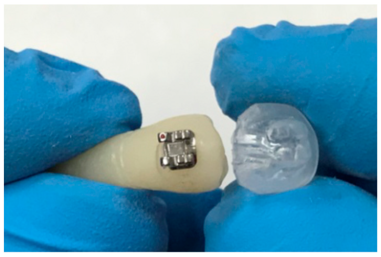 Dentistry 11 00038 g002