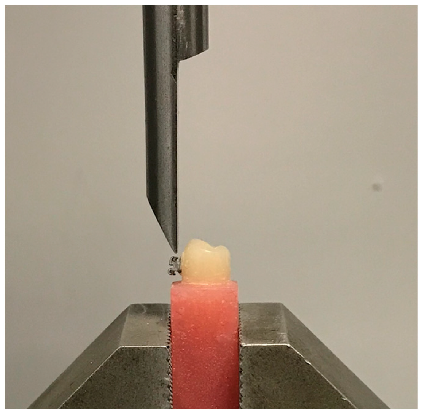 Dentistry 11 00038 g003