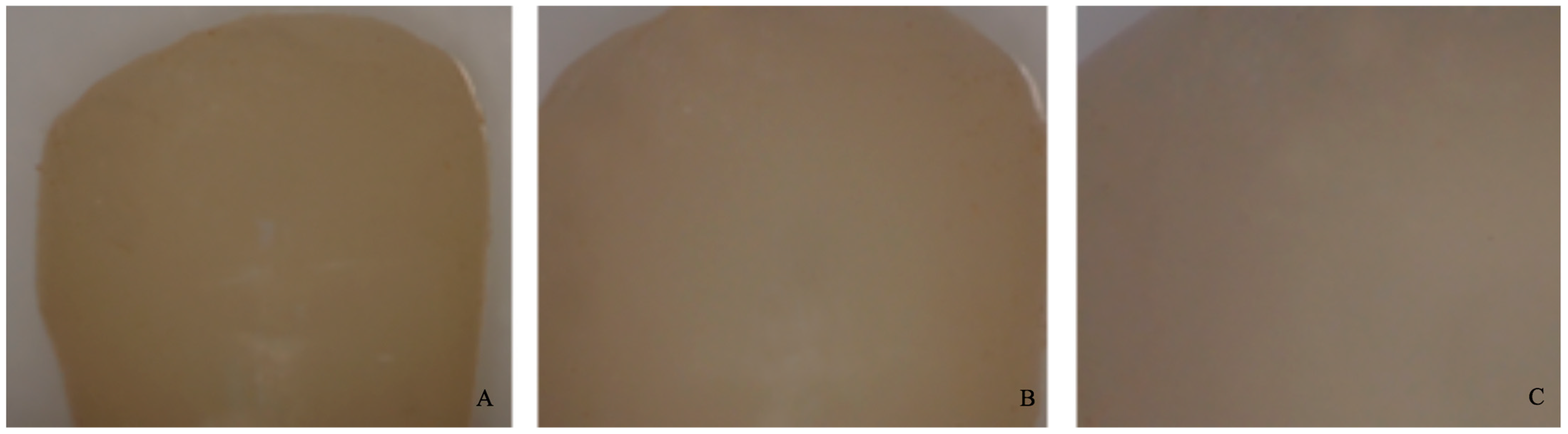 Dentistry 11 00038 g004