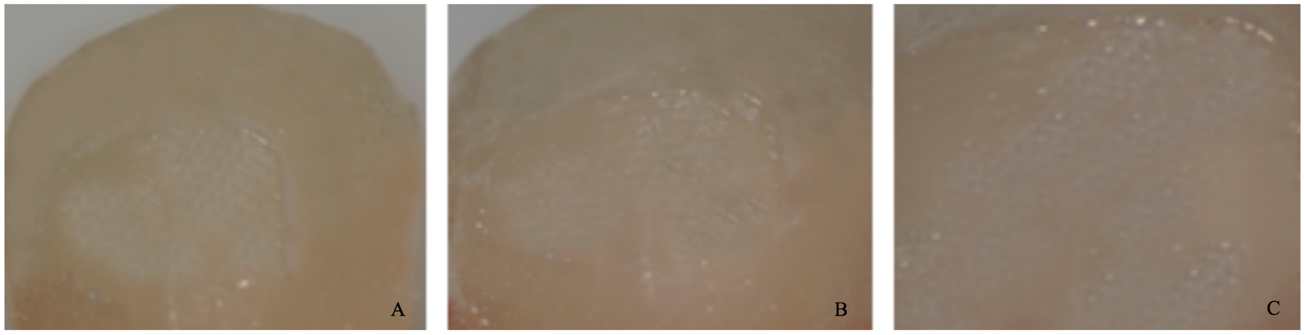 Dentistry 11 00038 g006