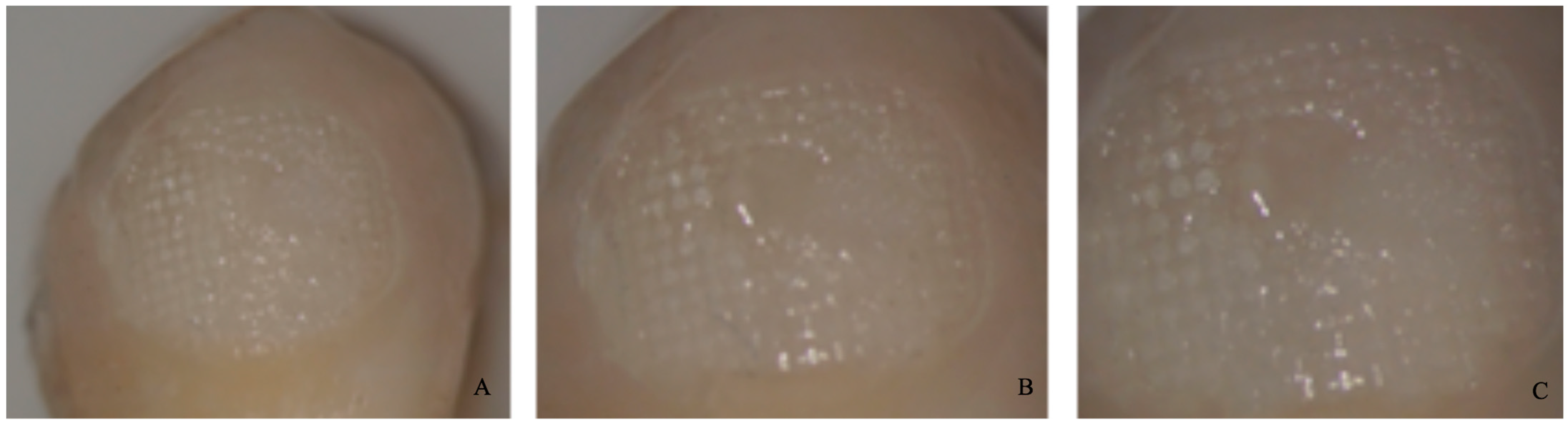 Dentistry 11 00038 g007