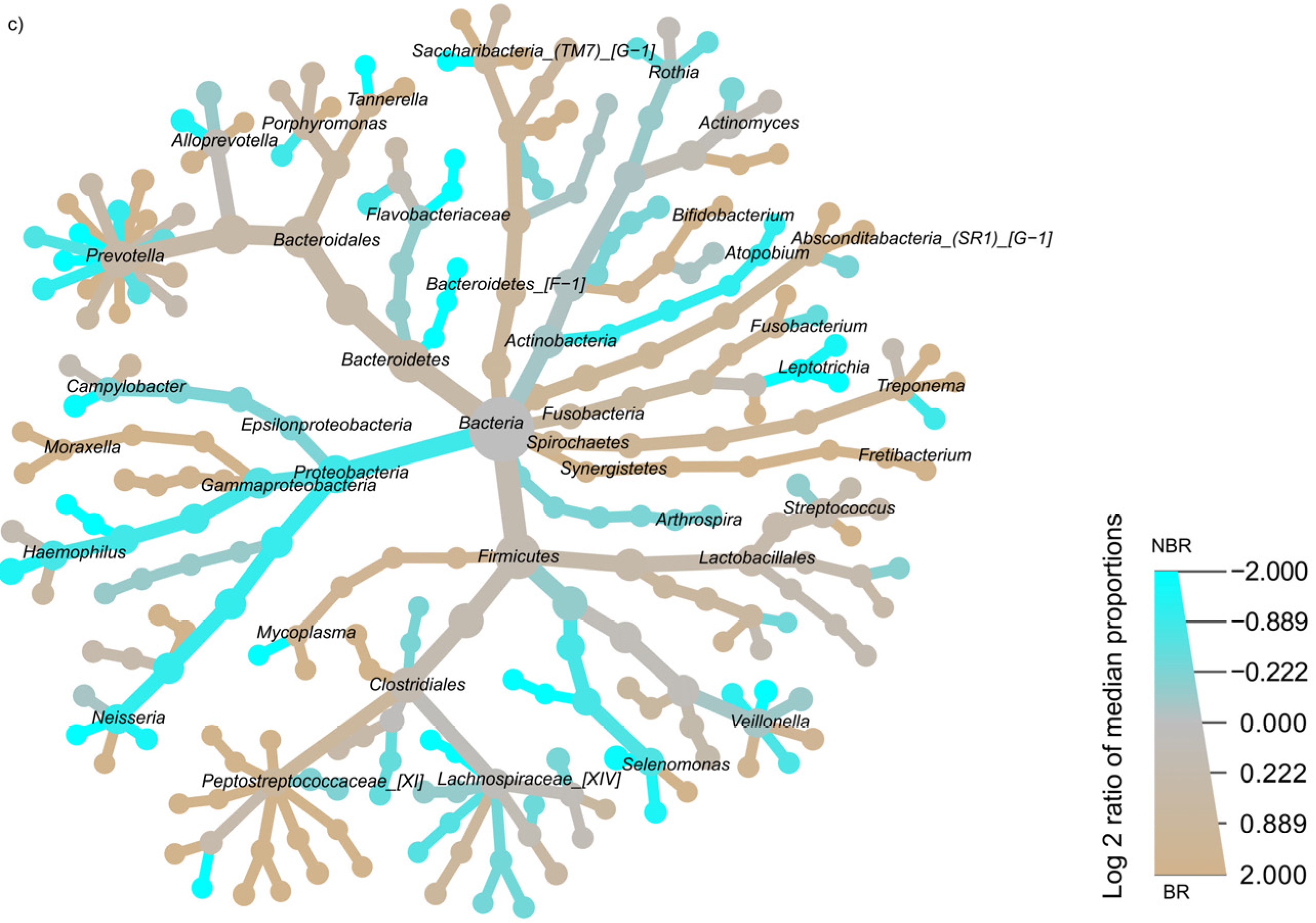 Dentistry 11 00044 g004b