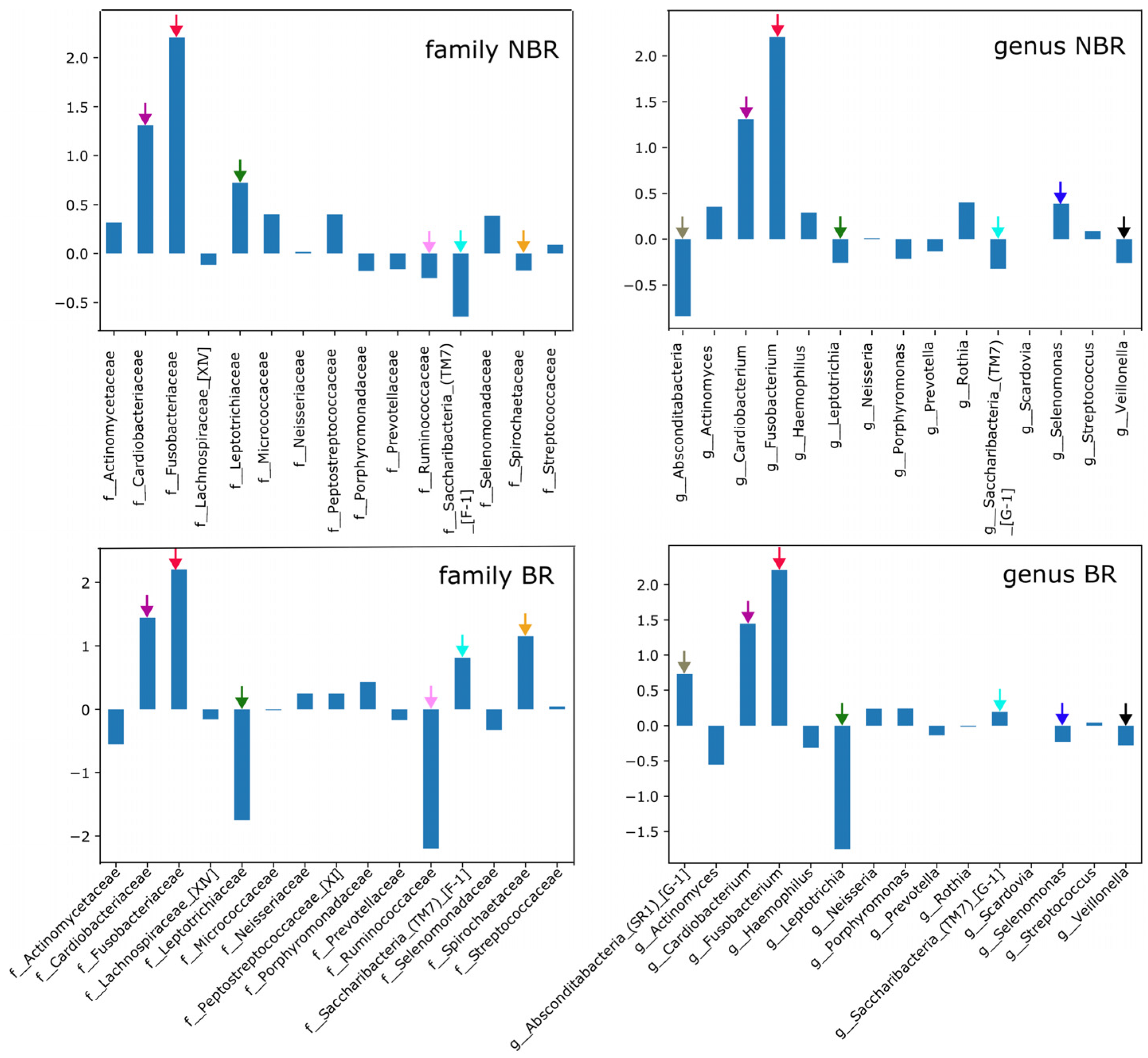 Dentistry 11 00044 g005