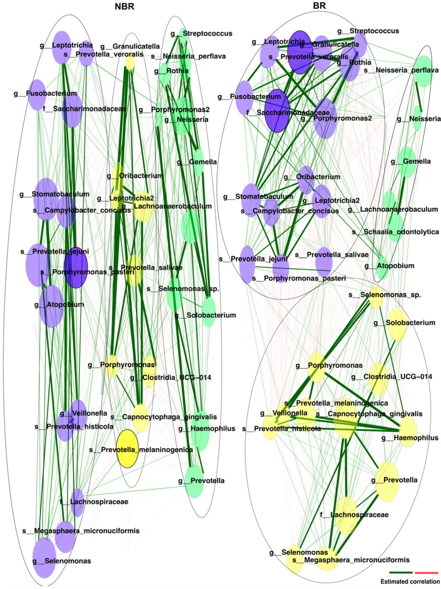 Dentistry 11 00044 g008