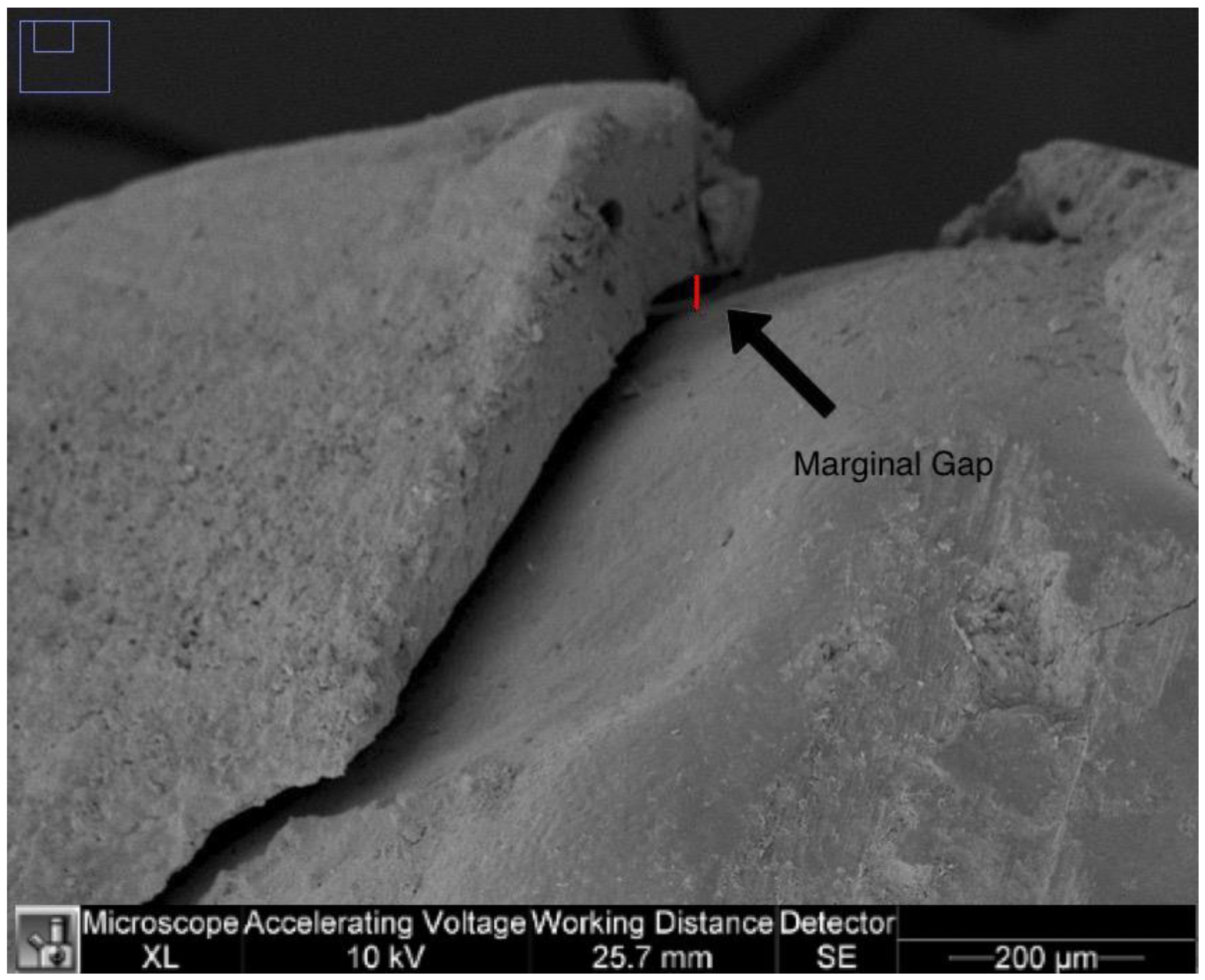 Dentistry 11 00077 g002