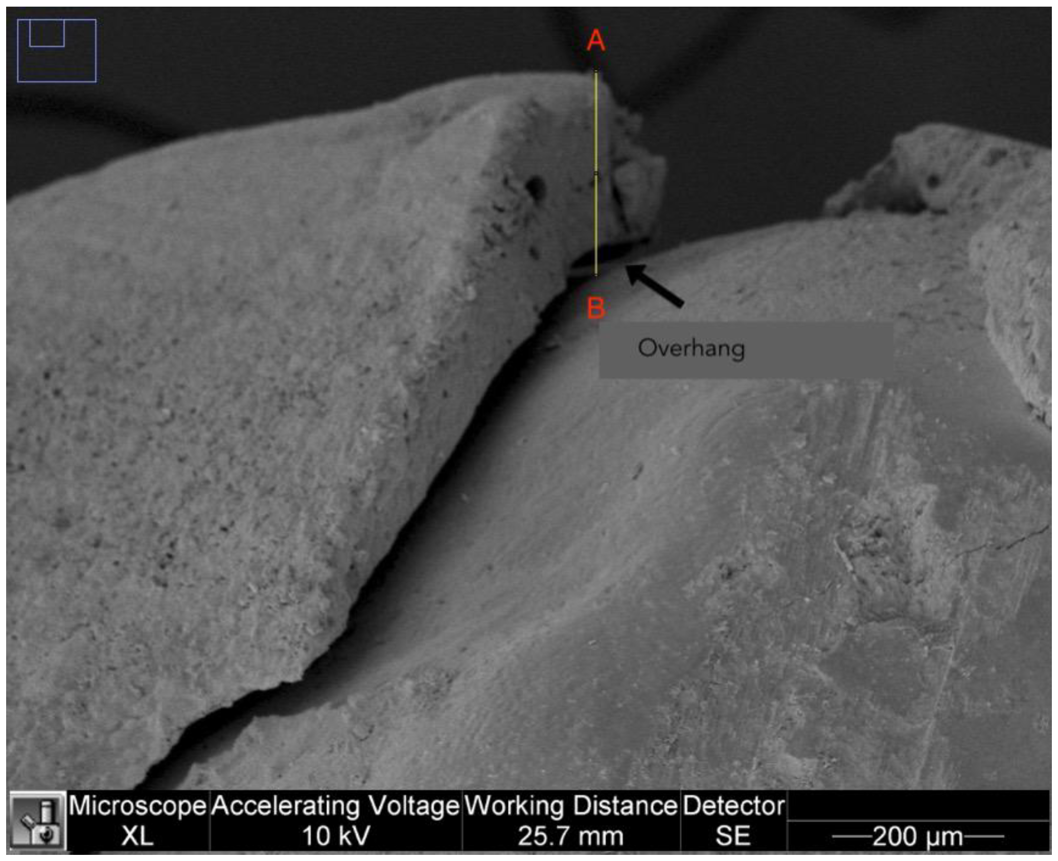 Dentistry 11 00077 g003