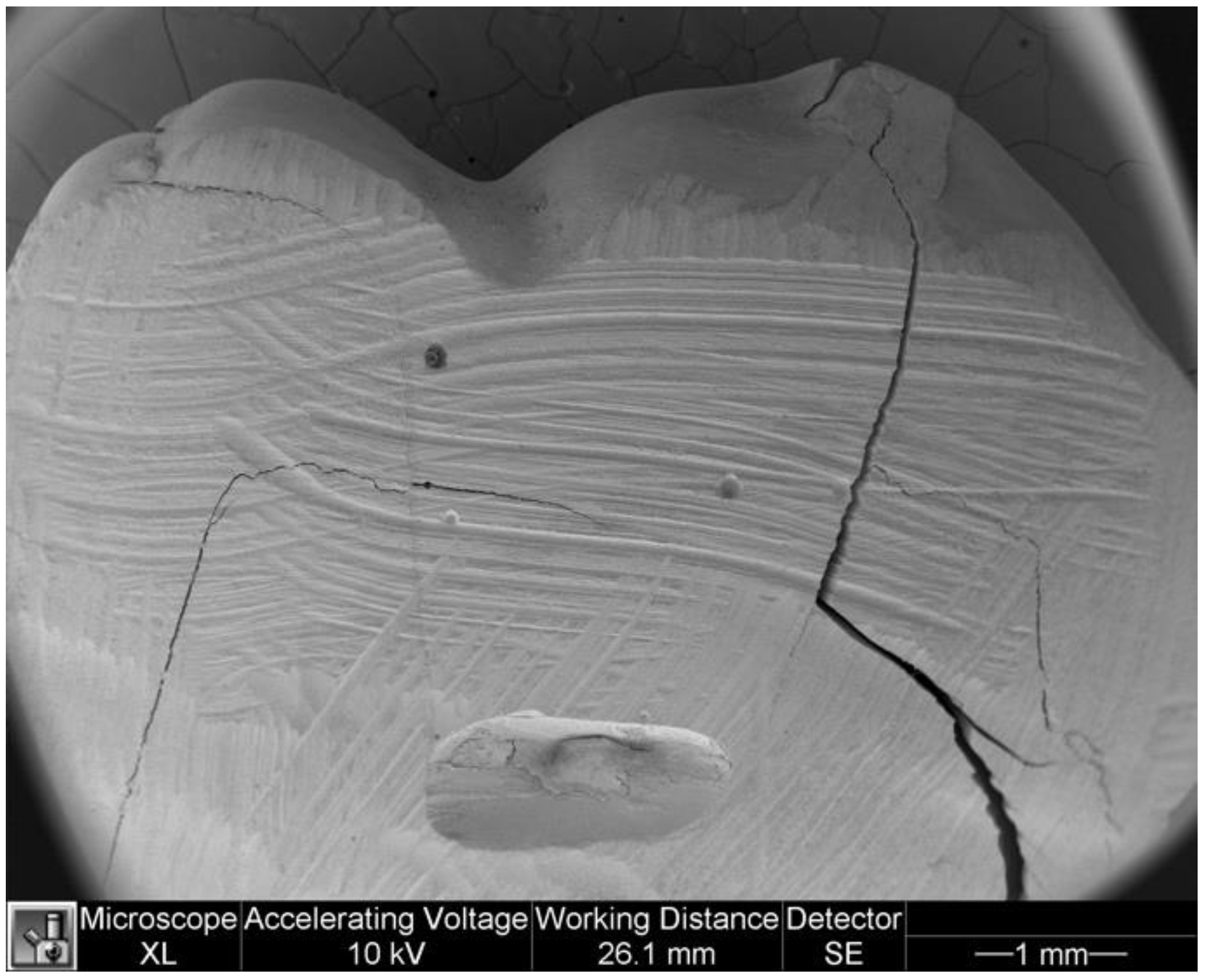 Dentistry 11 00077 g005