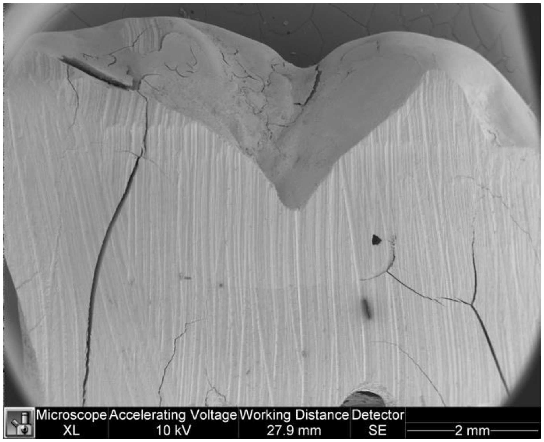 Dentistry 11 00077 g006