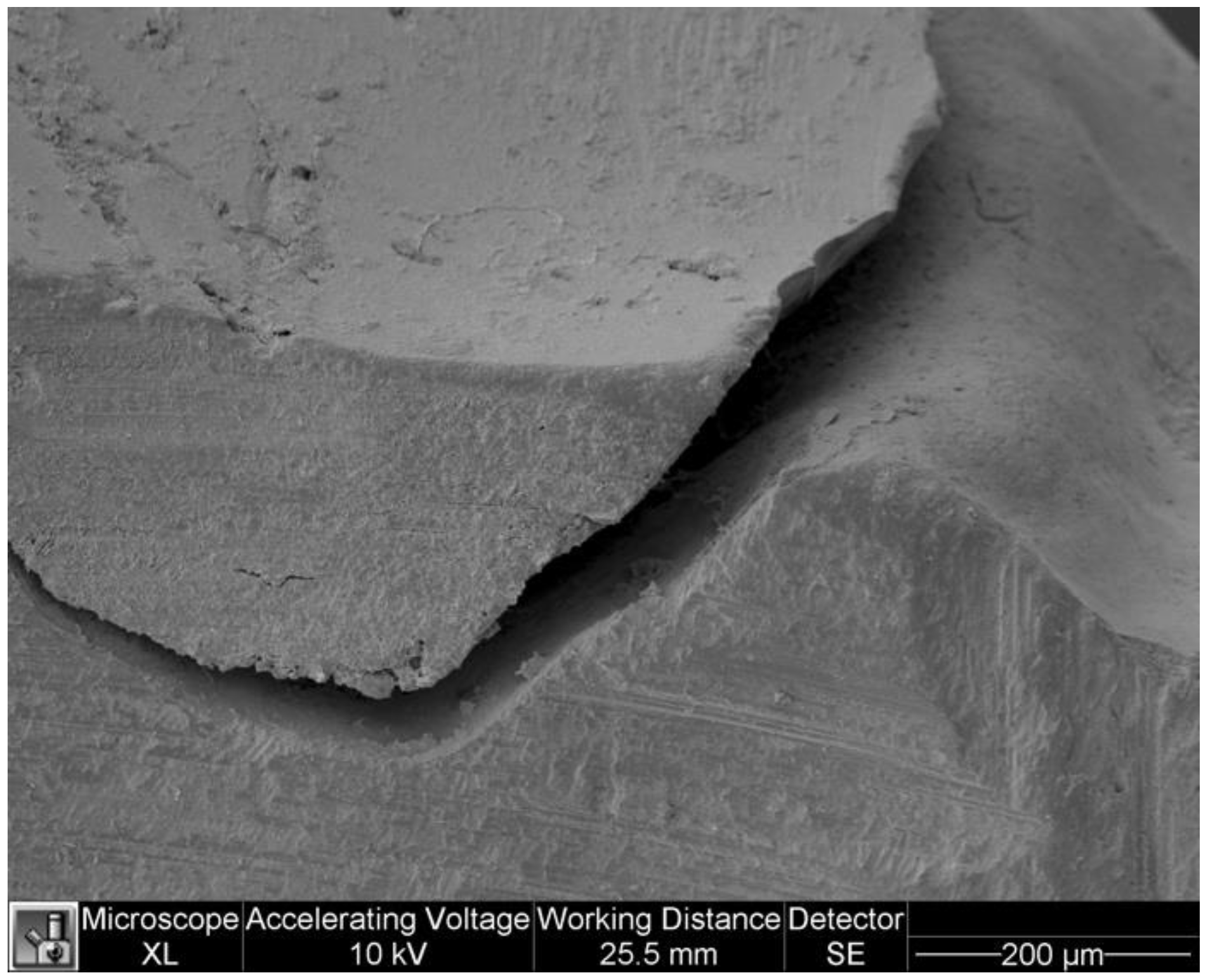 Dentistry 11 00077 g007