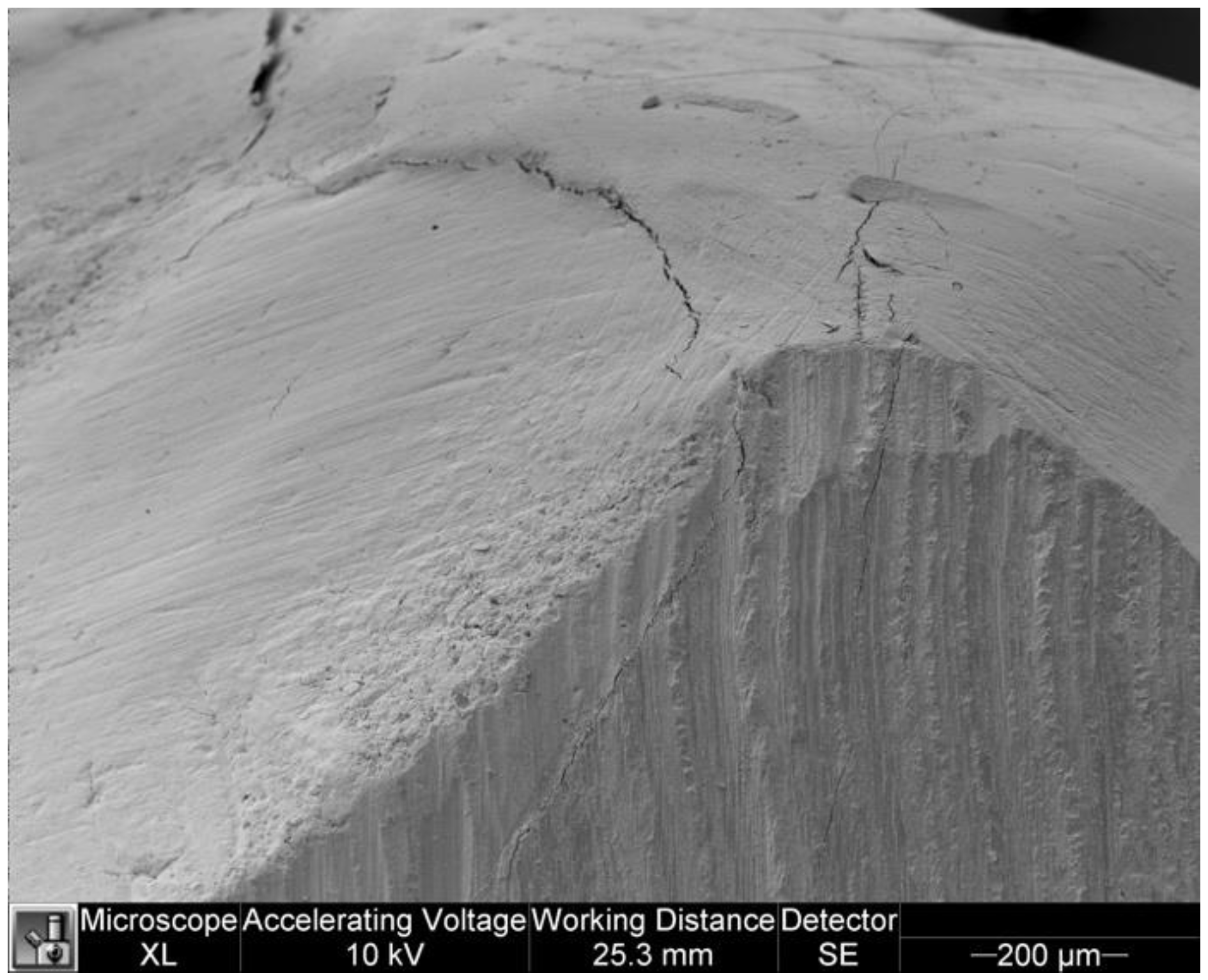 Dentistry 11 00077 g008