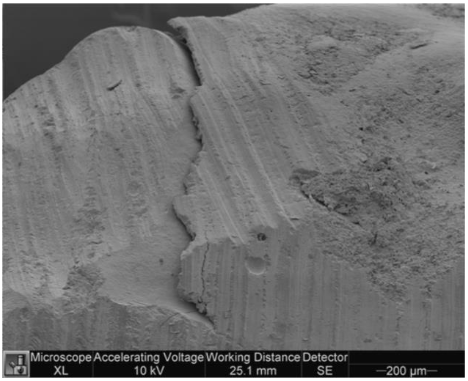 Dentistry 11 00077 g009