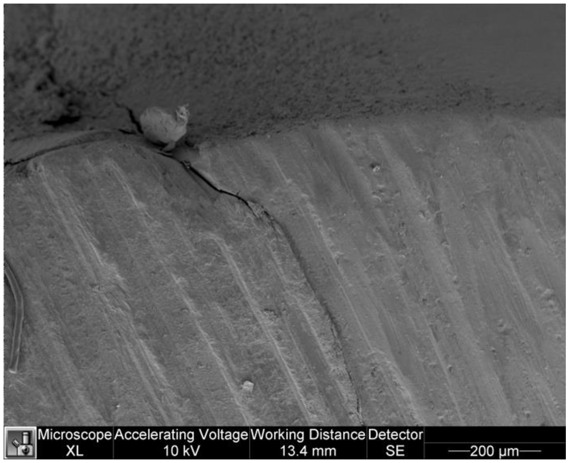 Dentistry 11 00077 g010