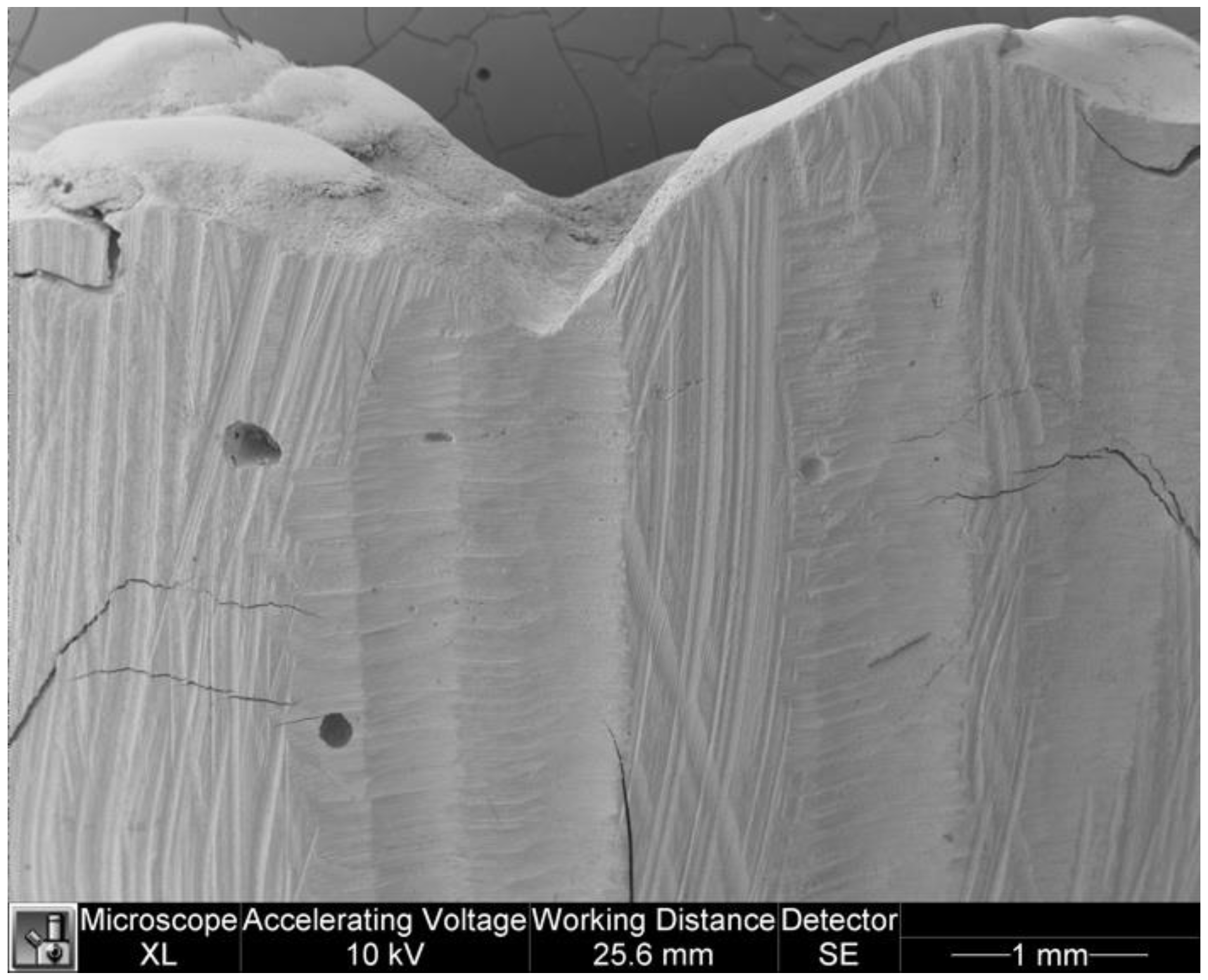 Dentistry 11 00077 g011