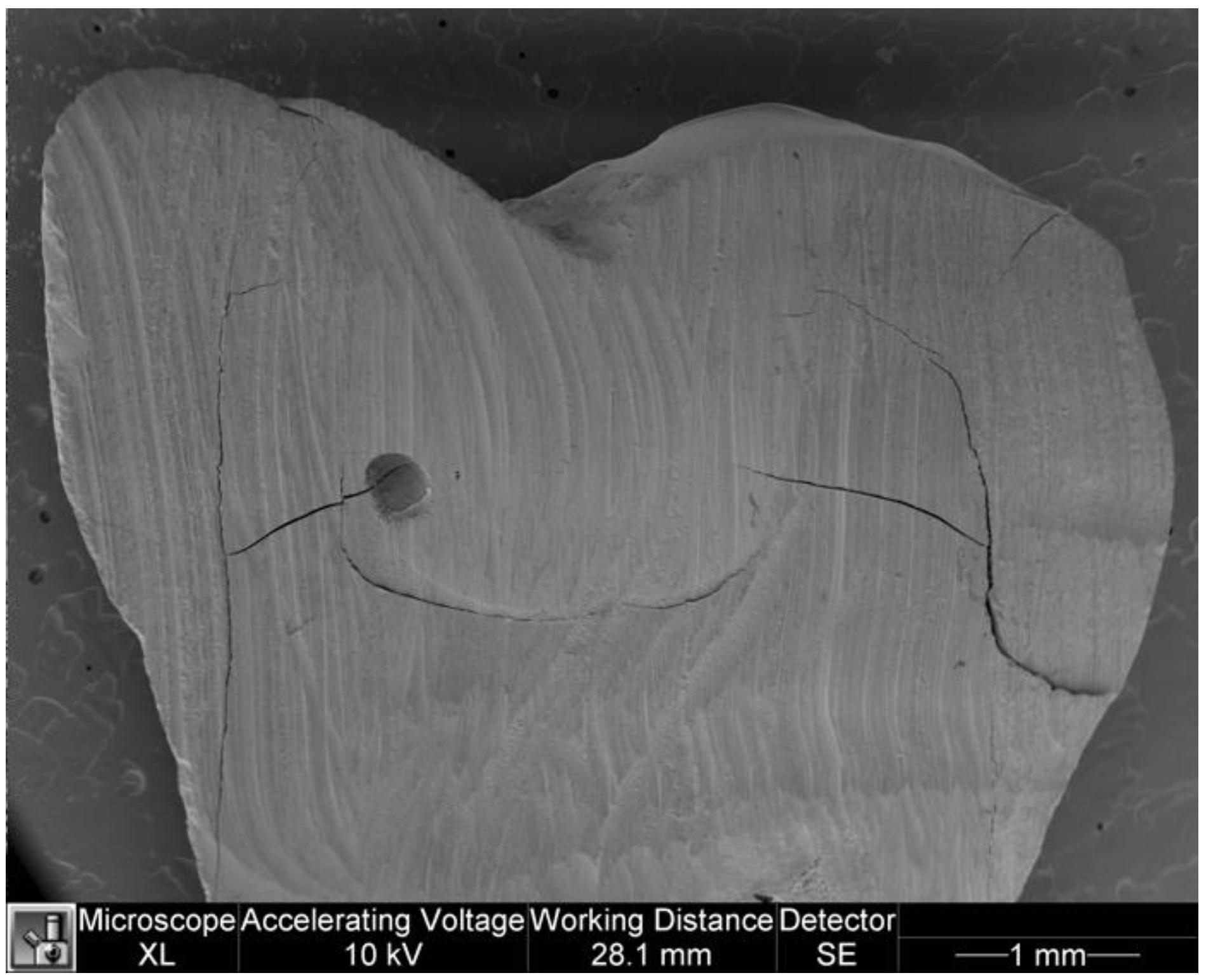 Dentistry 11 00077 g012