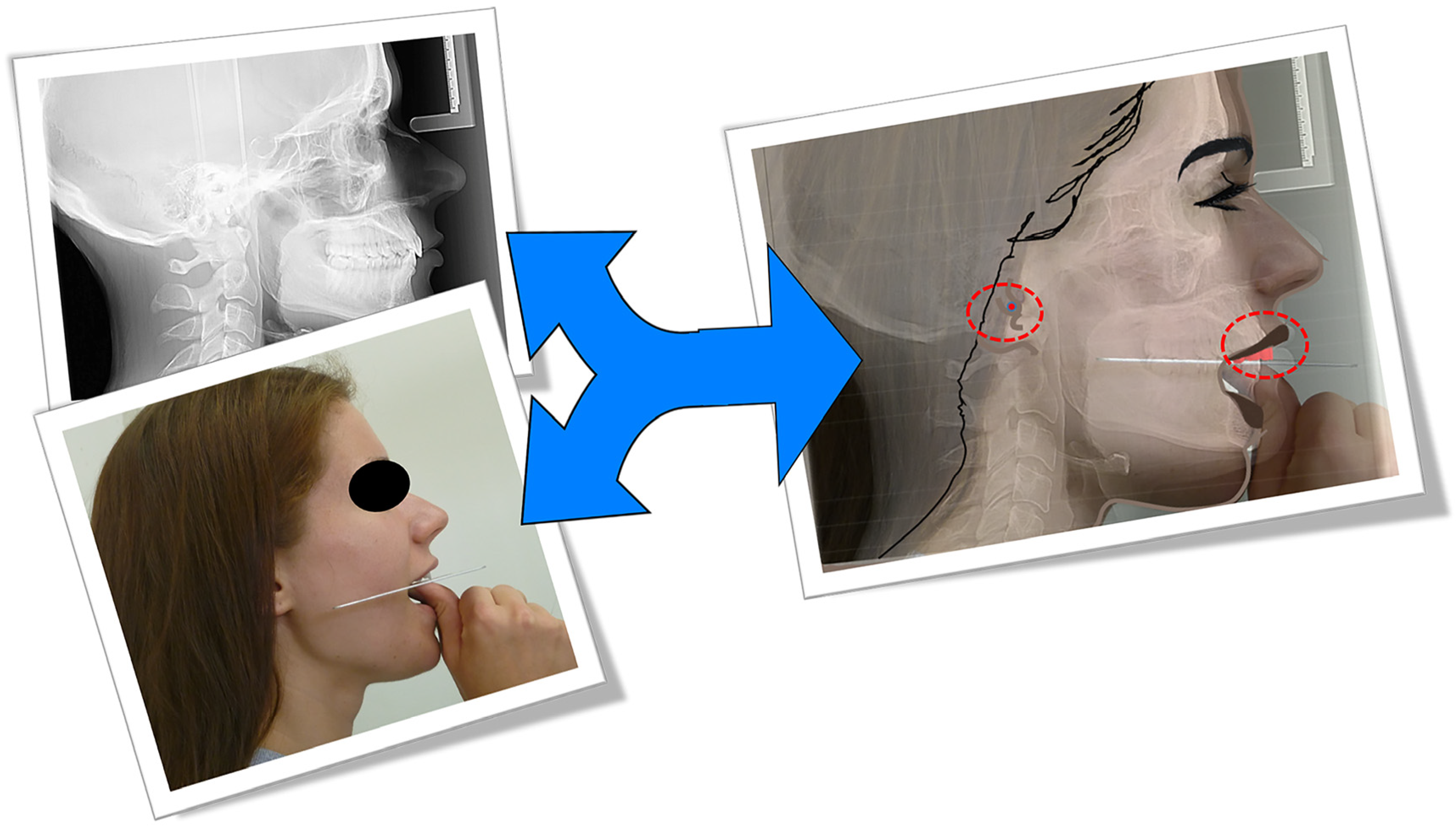 Dentistry 11 00081 g001