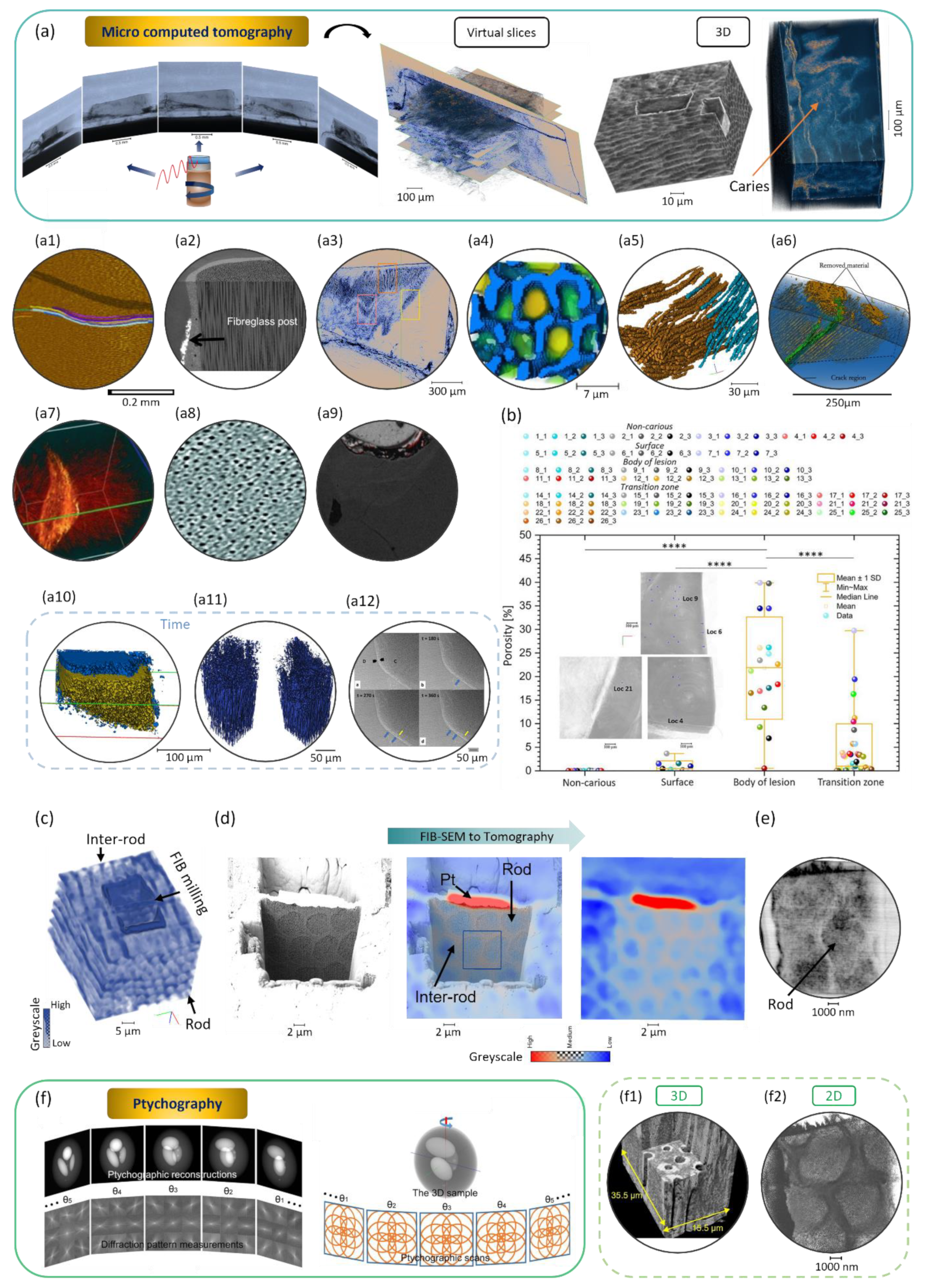 Dentistry 11 00098 g008