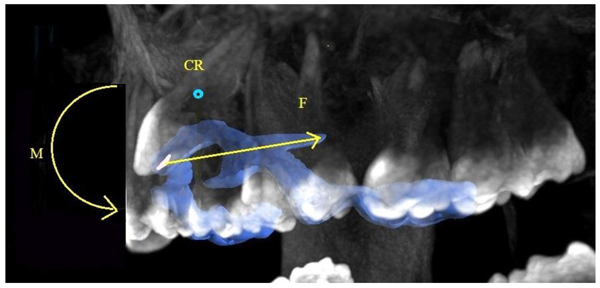 Dentistry 11 00102 g007