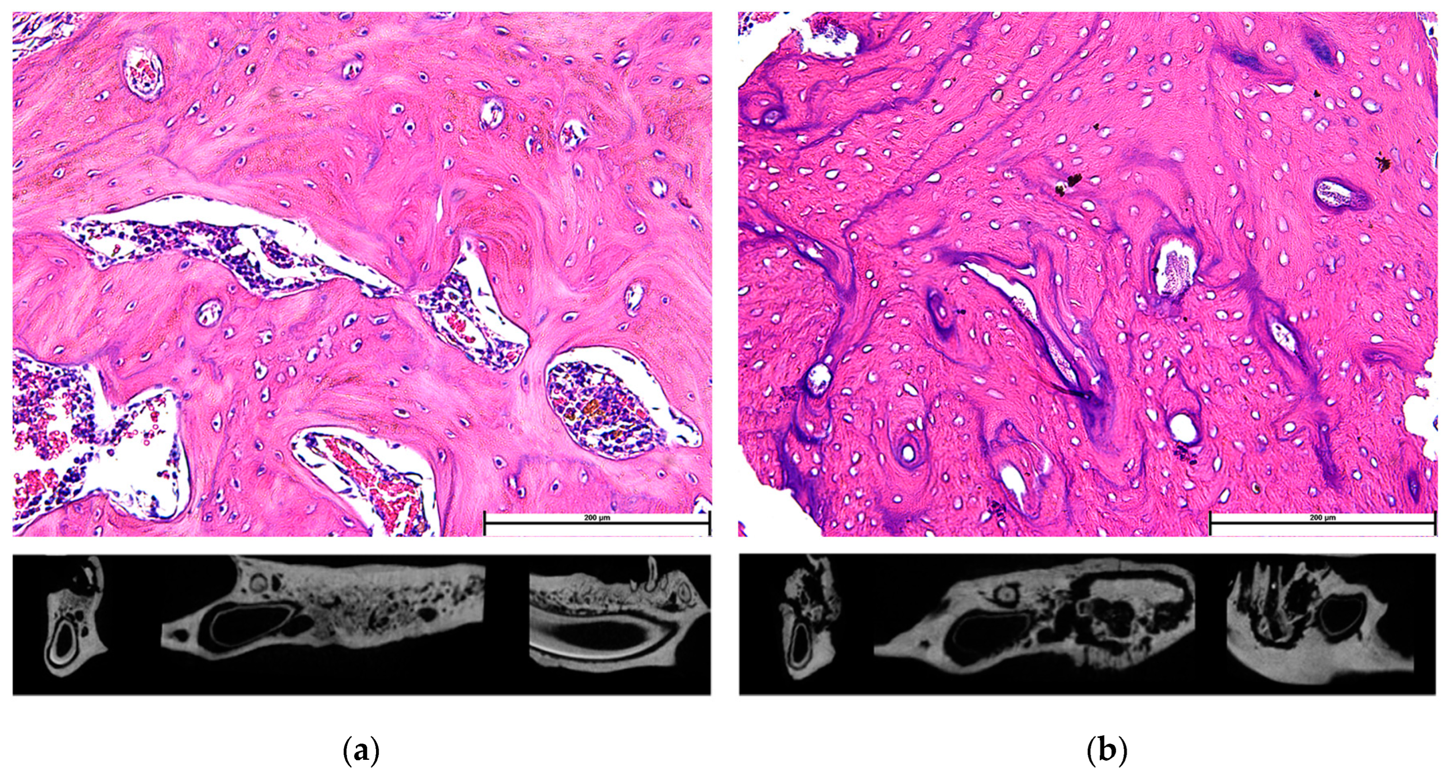 Dentistry 11 00109 g001