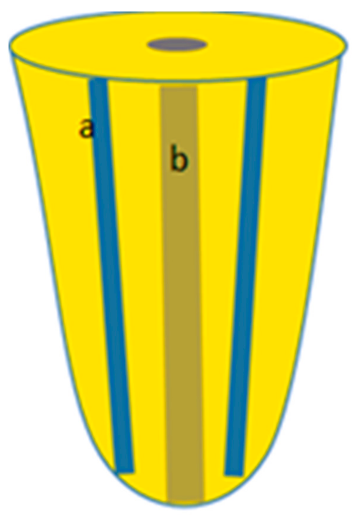 Dentistry 11 00116 g001 Dentistry 11 00116 g001