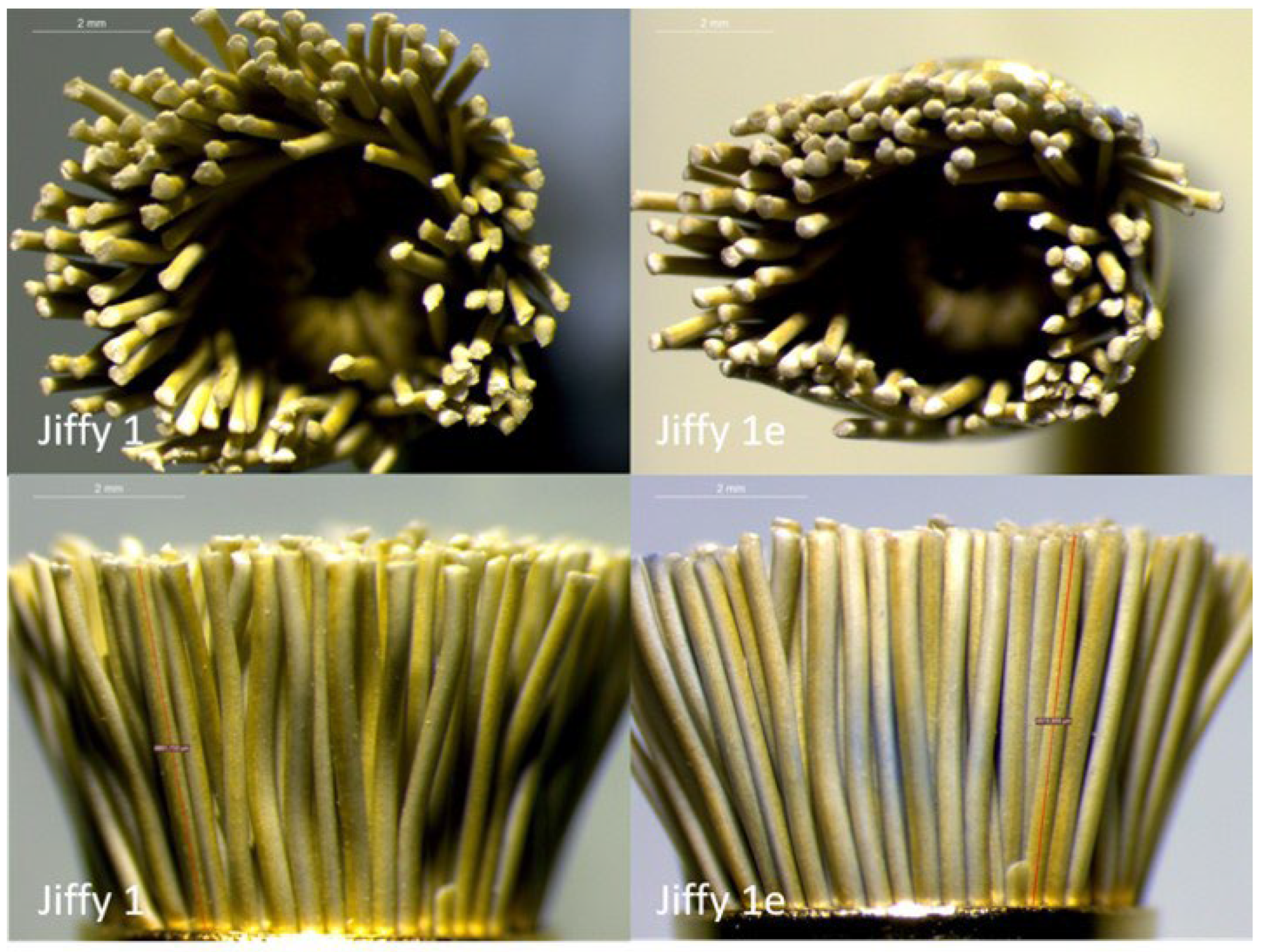 Dentistry 11 00128 g013