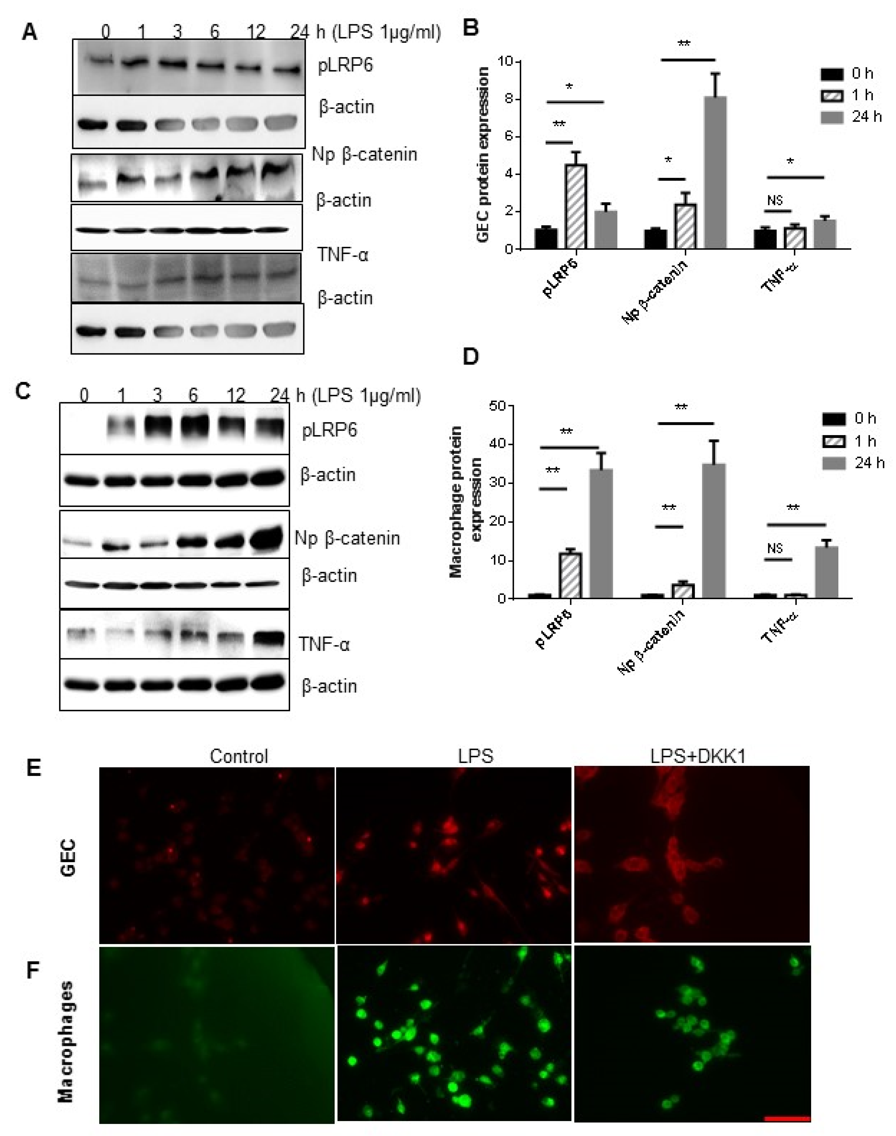 Dentistry 11 00129 g005