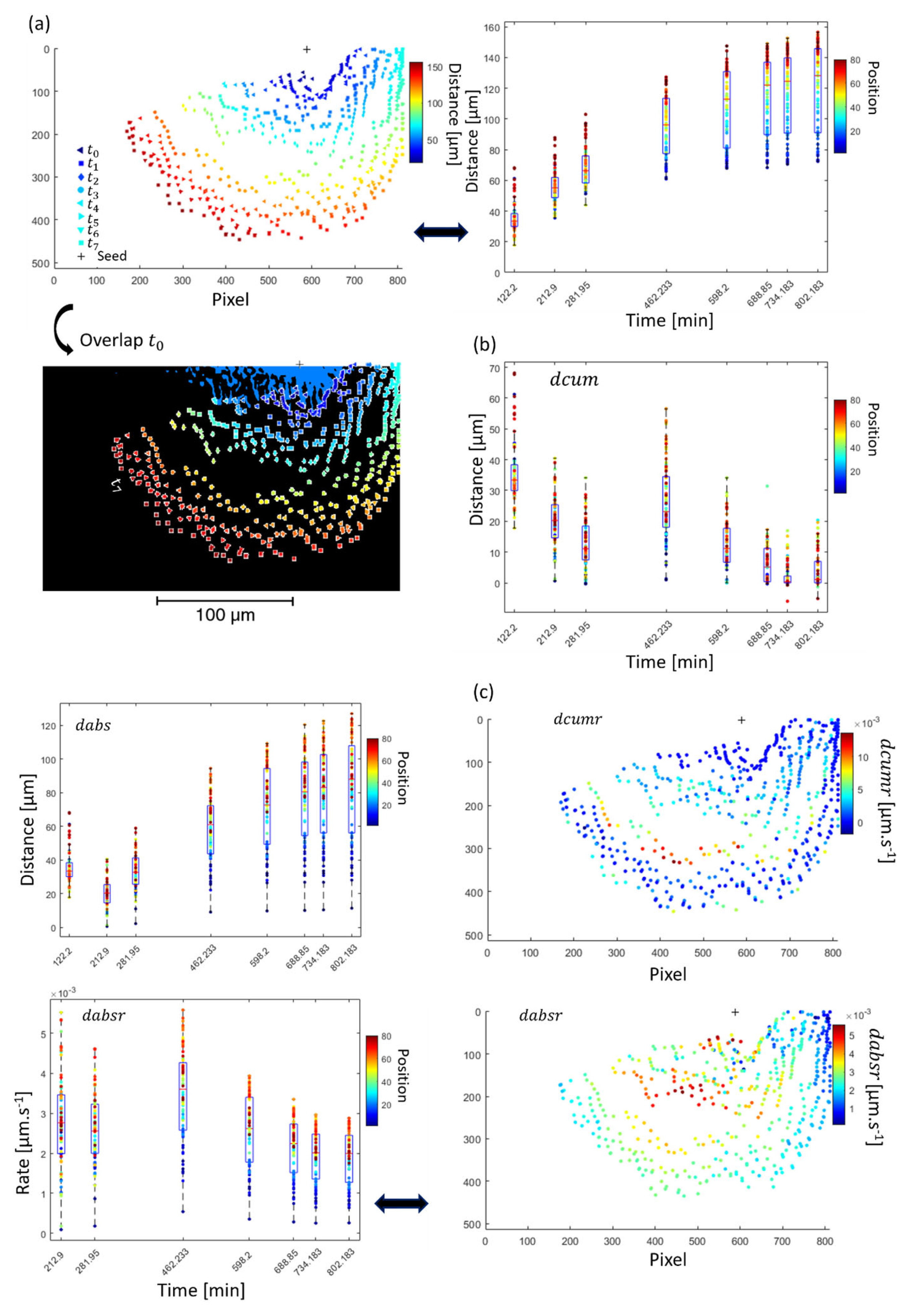 Dentistry 11 00130 g007 Dentistry 11 00130 g007