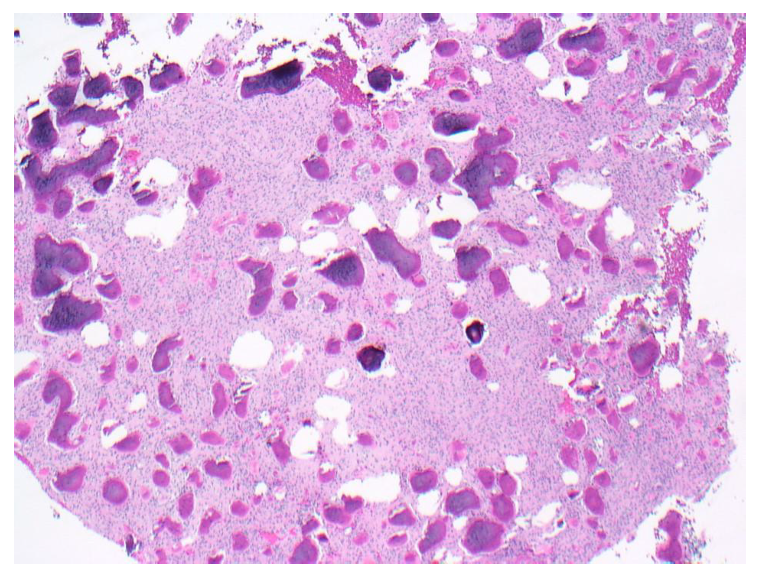 Dentistry 11 00138 g008 Dentistry 11 00138 g008