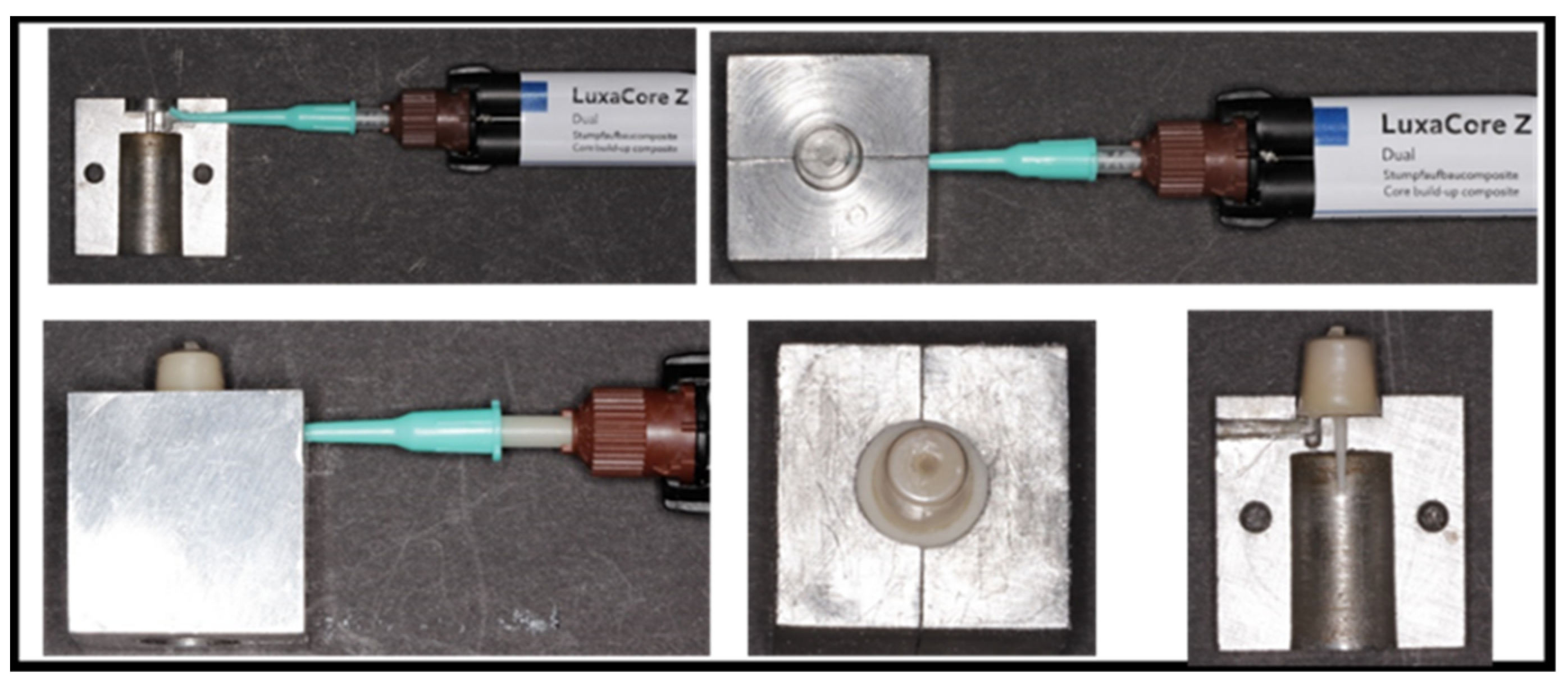 Dentistry 11 00142 g003