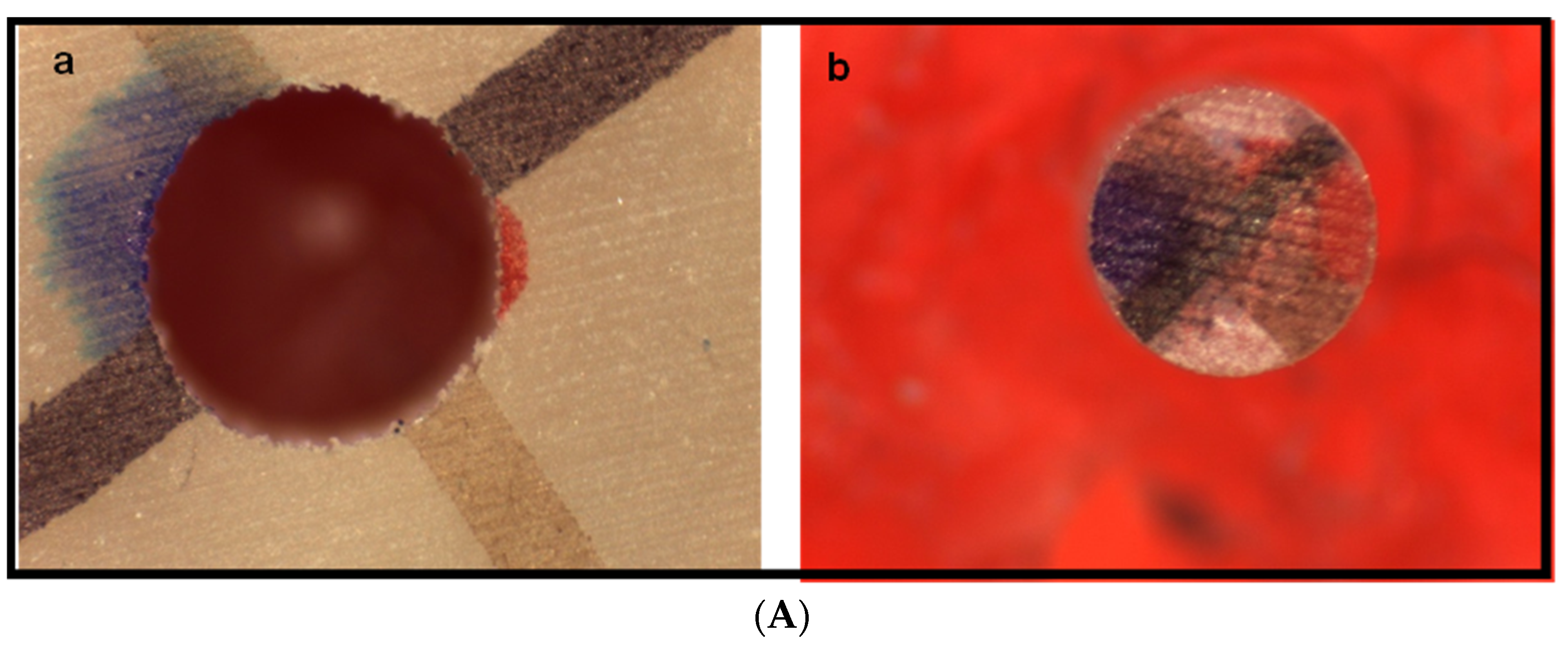 Dentistry 11 00142 g014a