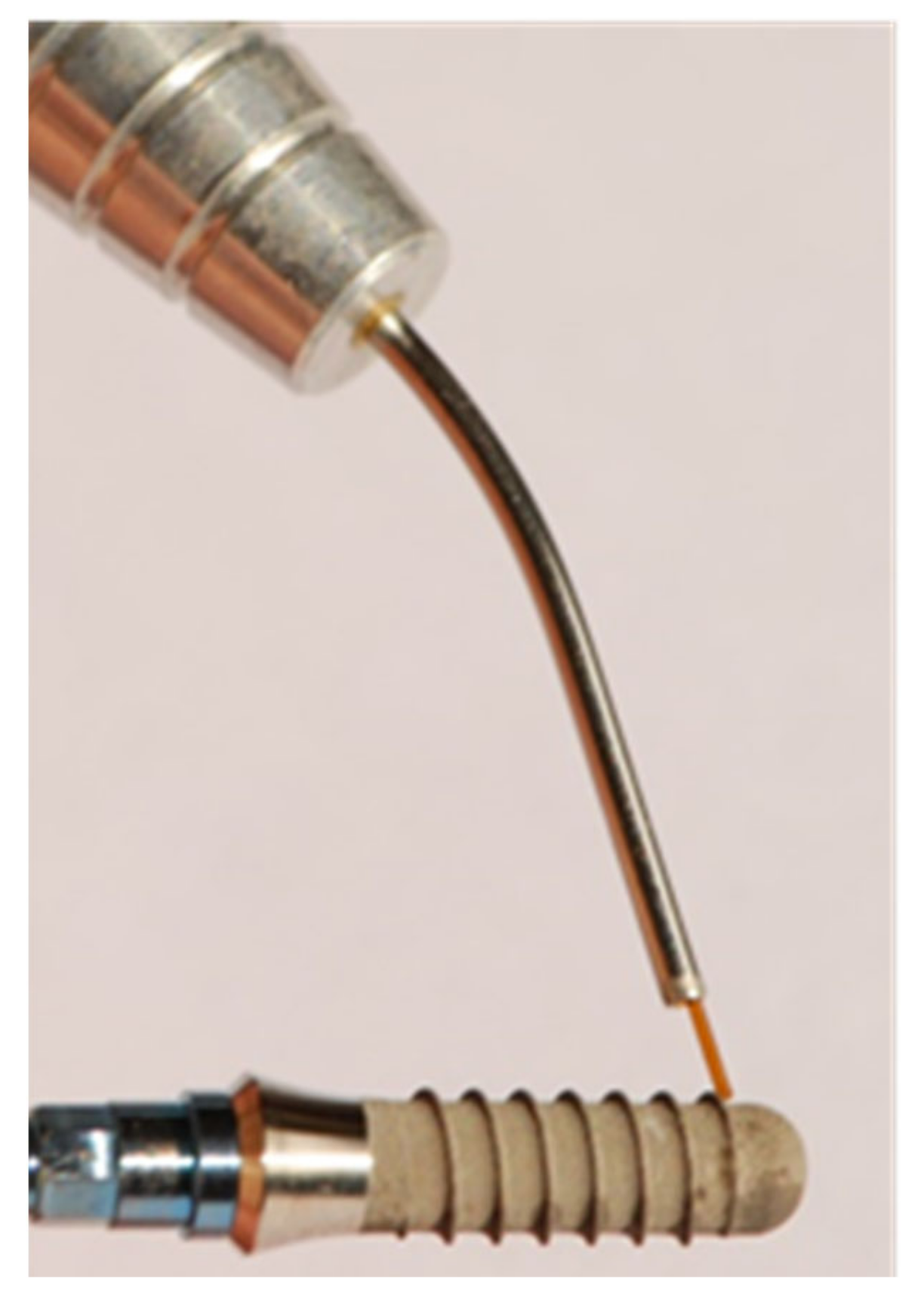 Dentistry 11 00148 g002