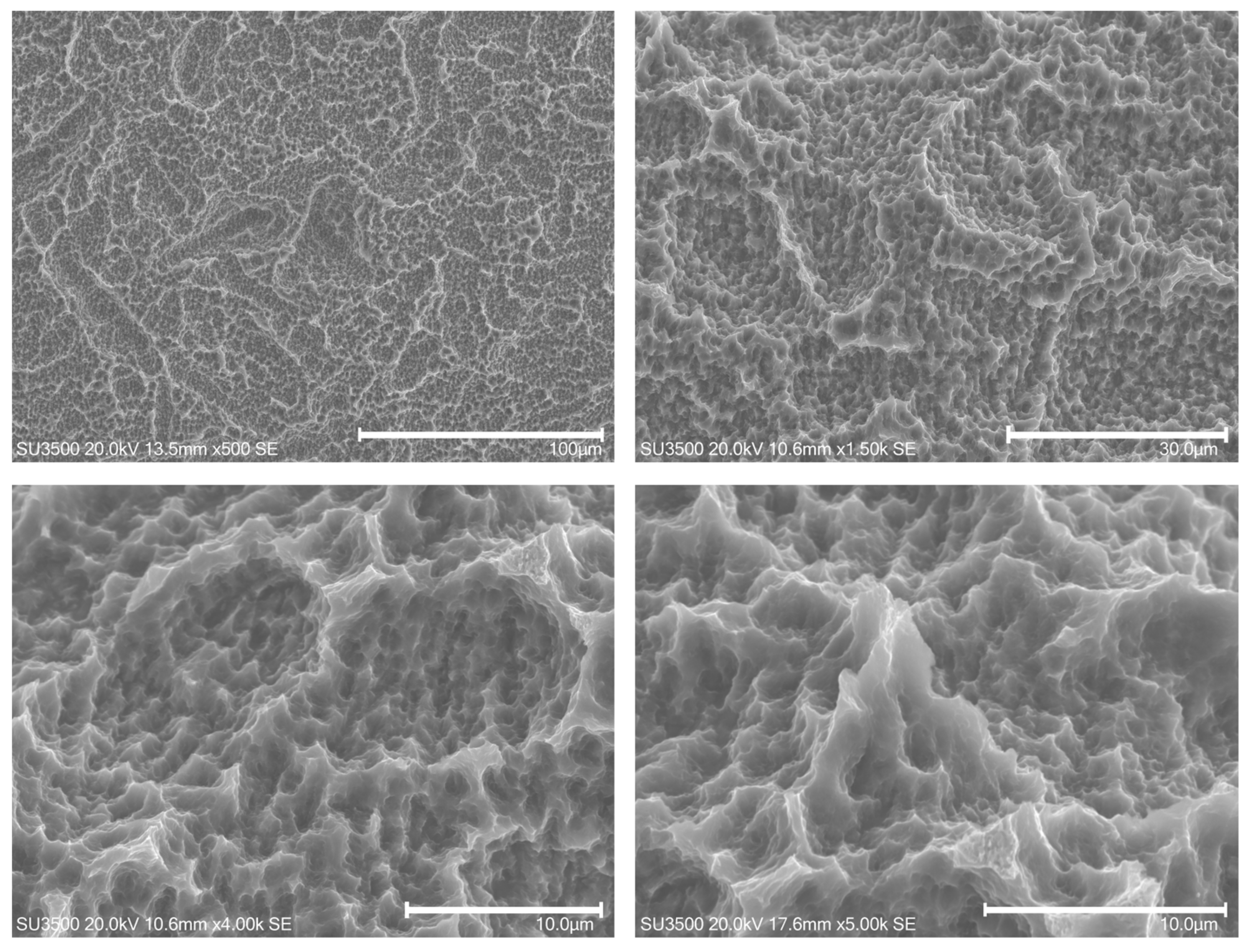 Dentistry 11 00148 g005