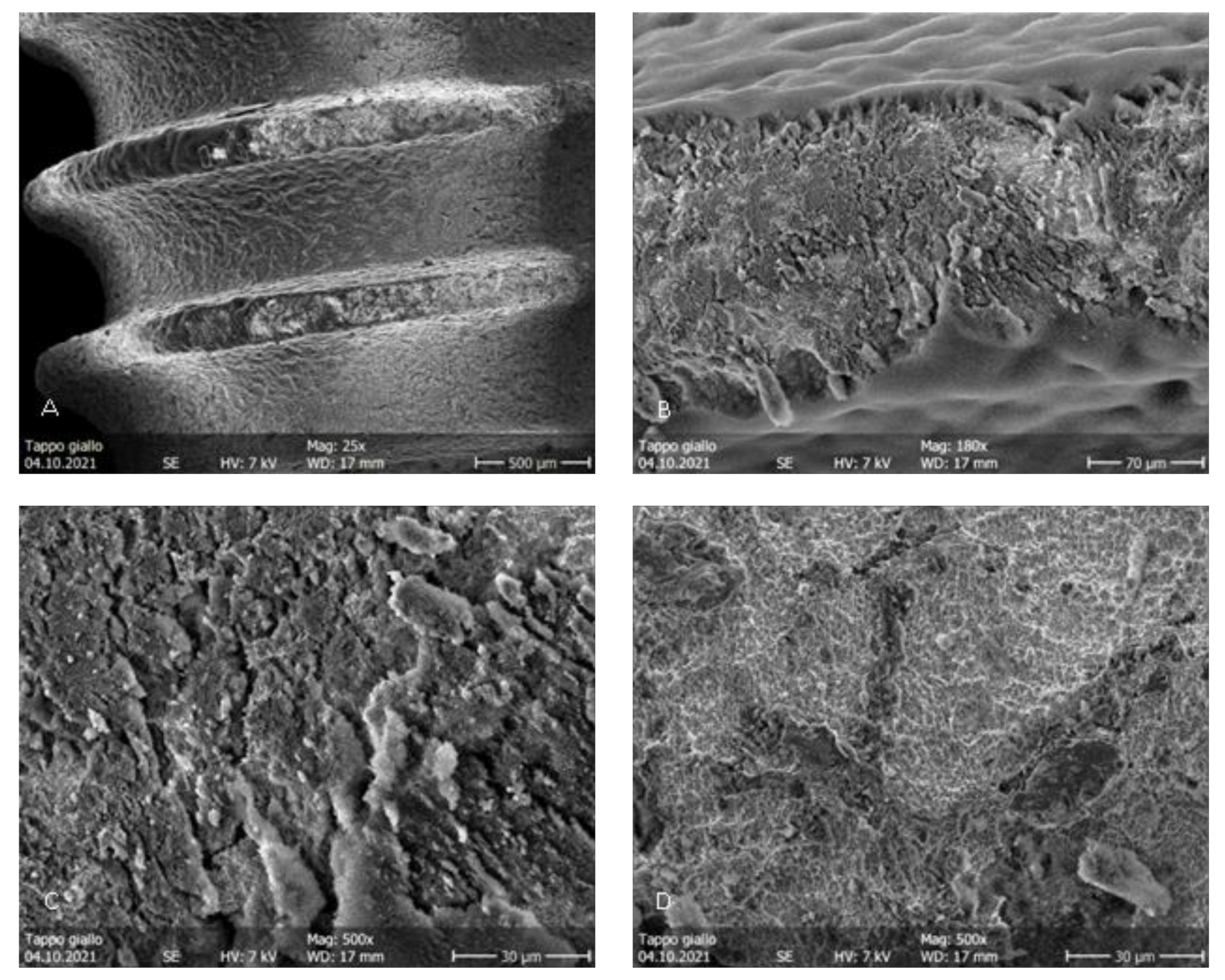 Dentistry 11 00148 g009